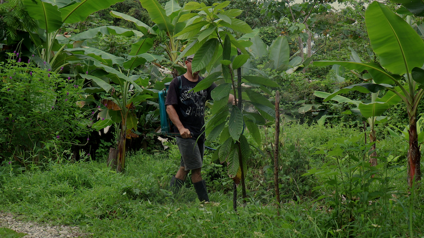 Permaculture