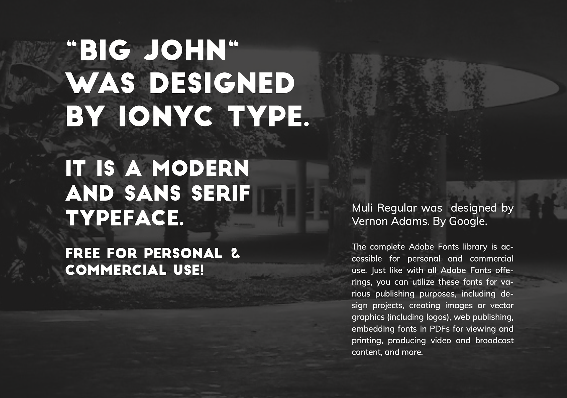 Fonts