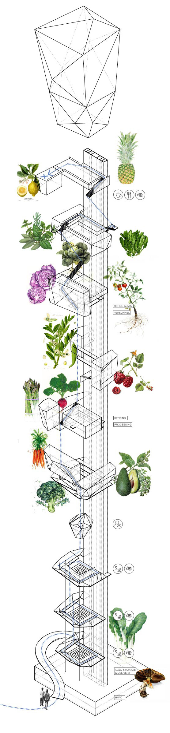 Vertical Farming