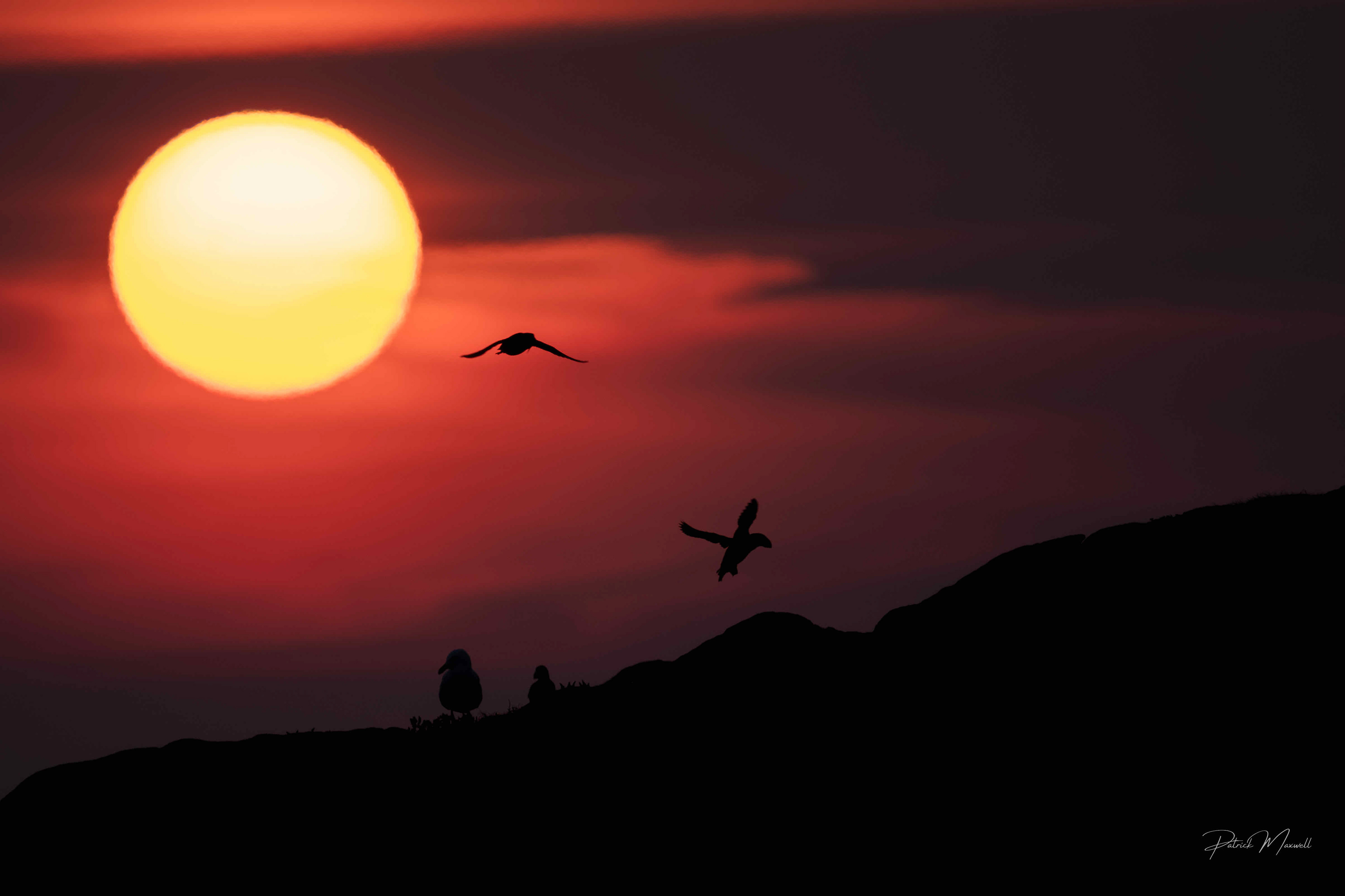 Sunrise - Bonavista, Newfoundland