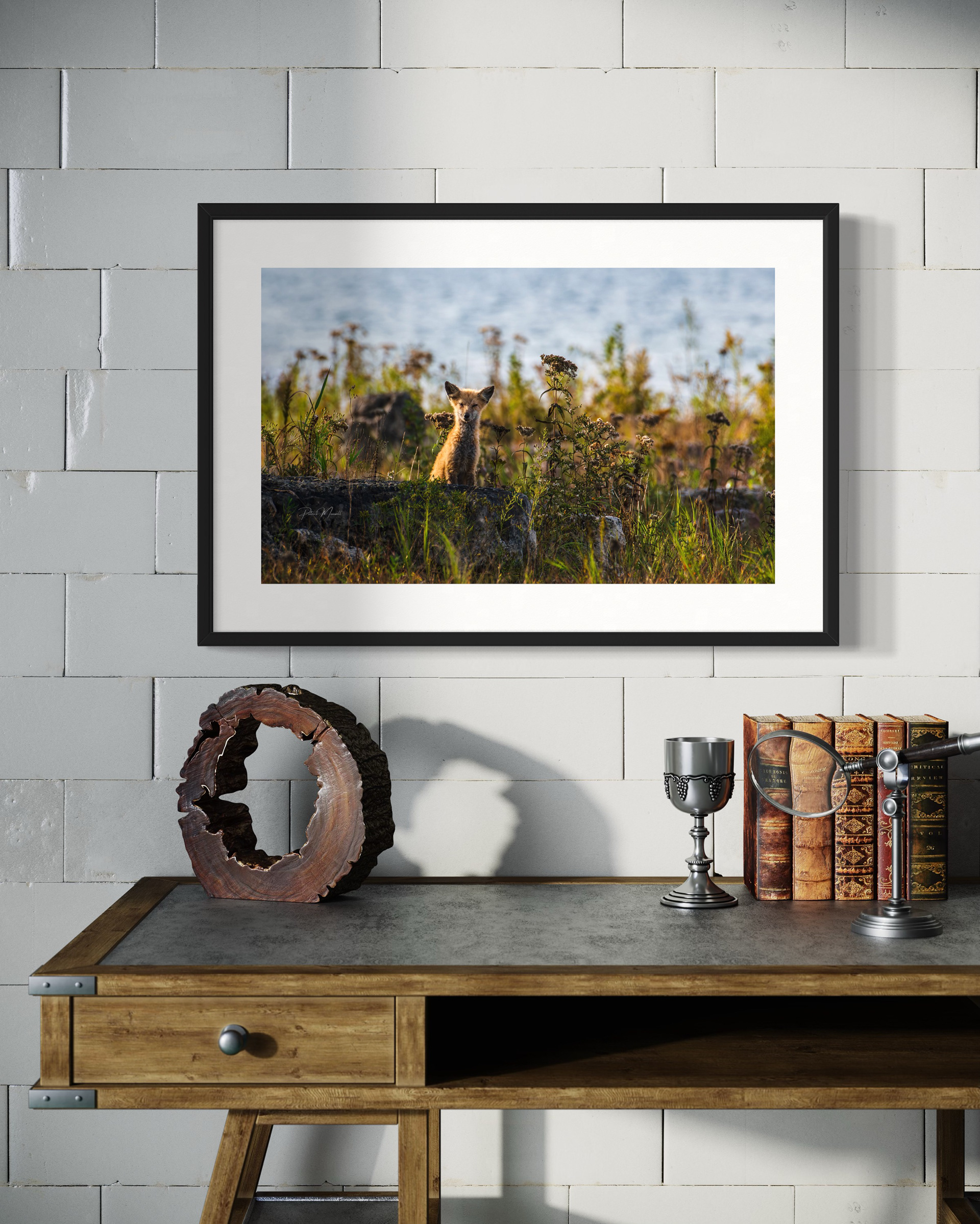 30 x 20 Framed