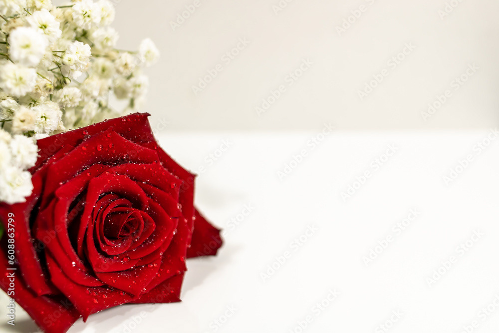 Wet Red Rose with Baby's Breath on White Table