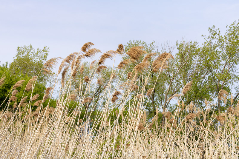 Scenic Landscape
