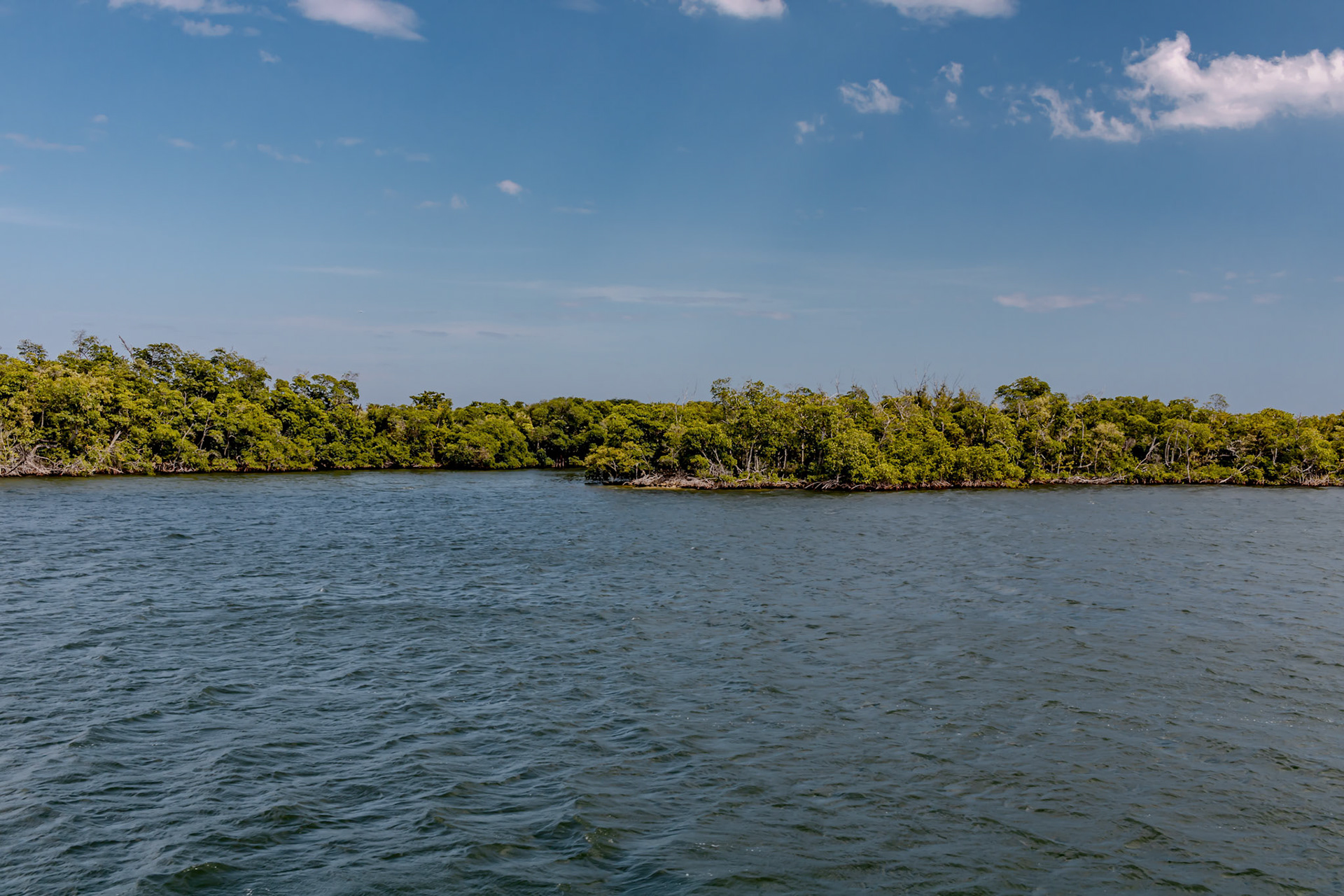 Lake on Sunny Day