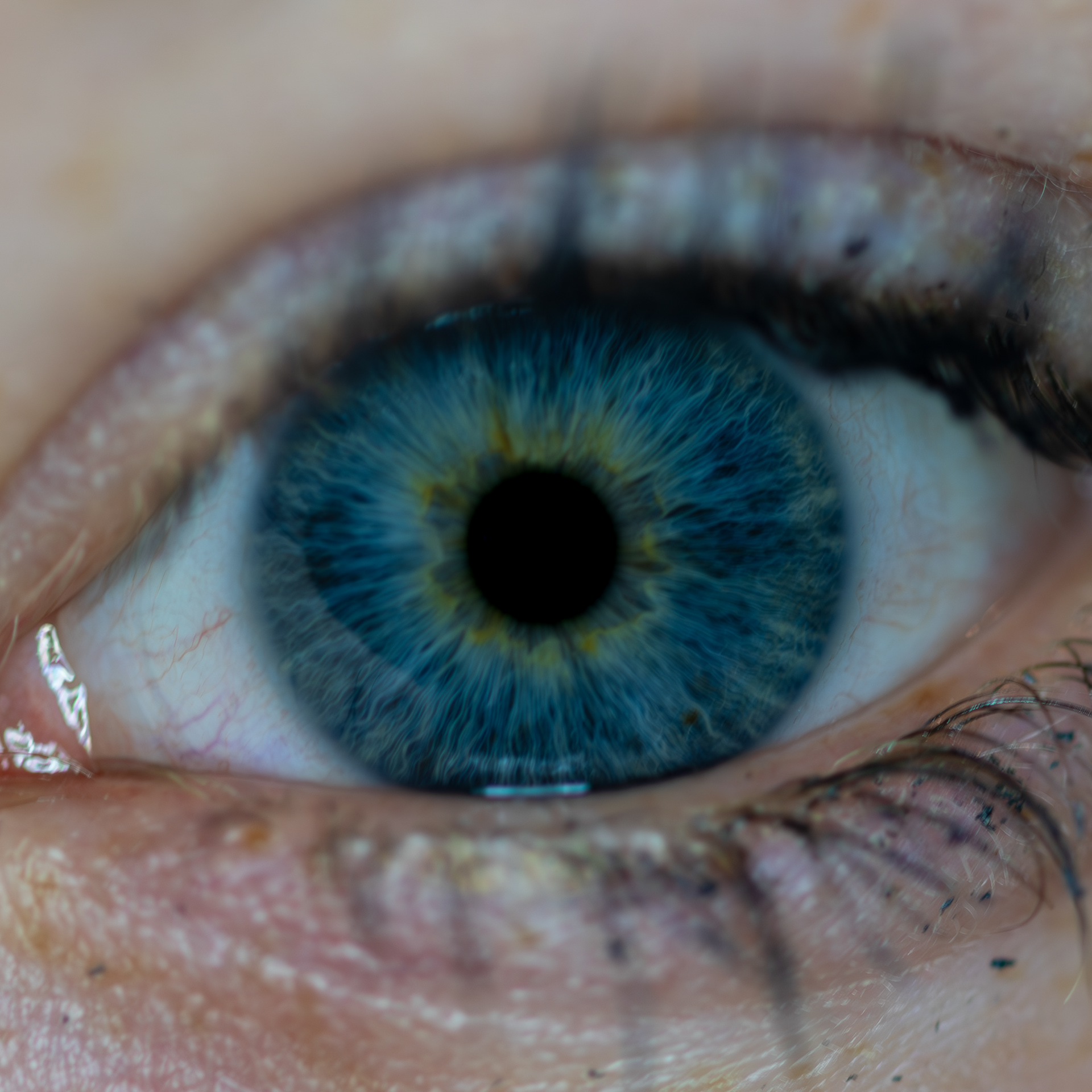 Im Blick