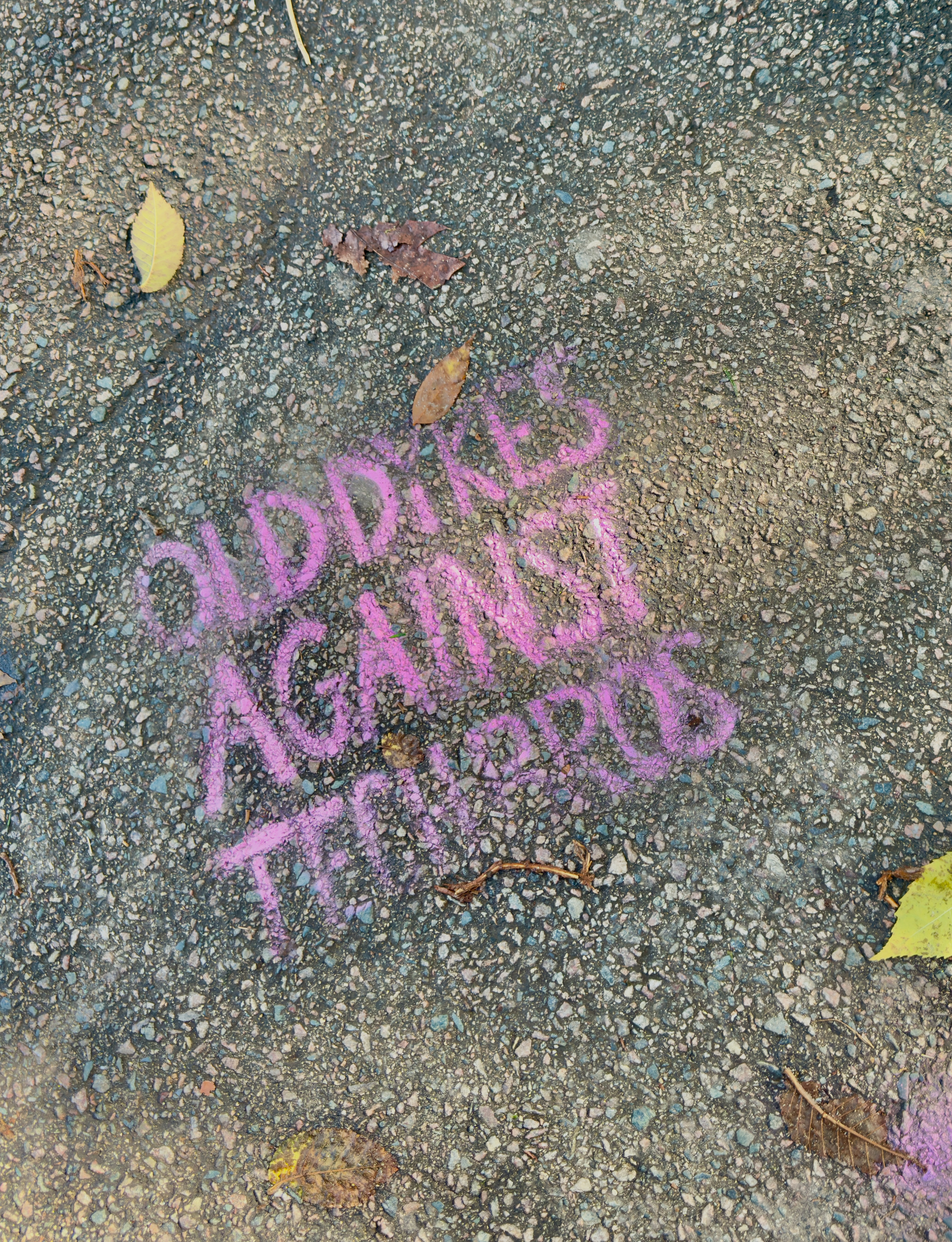 From Boston, MA. (10/22/2025)