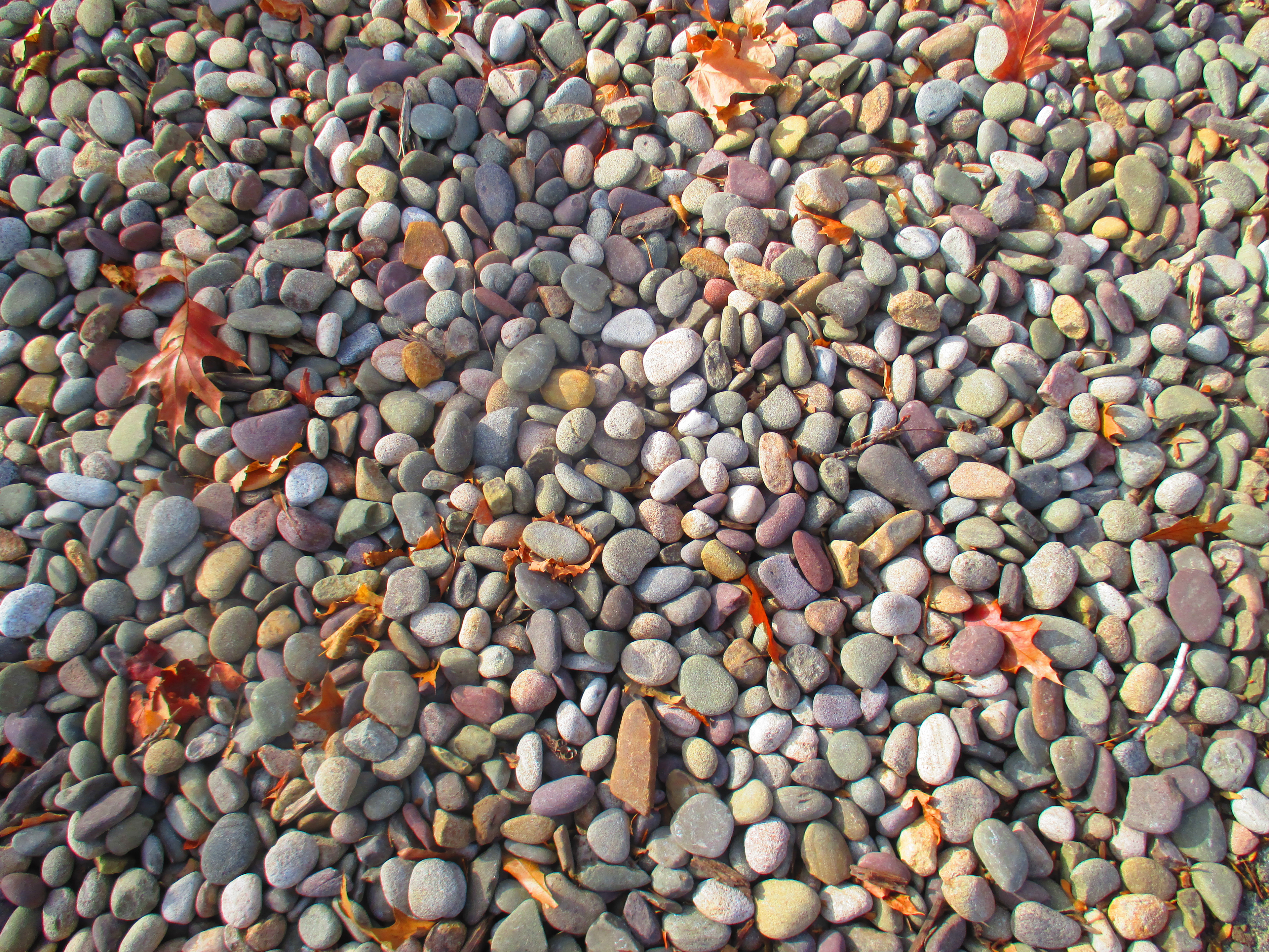 From Astoria, Oregon. (05/19/2017).