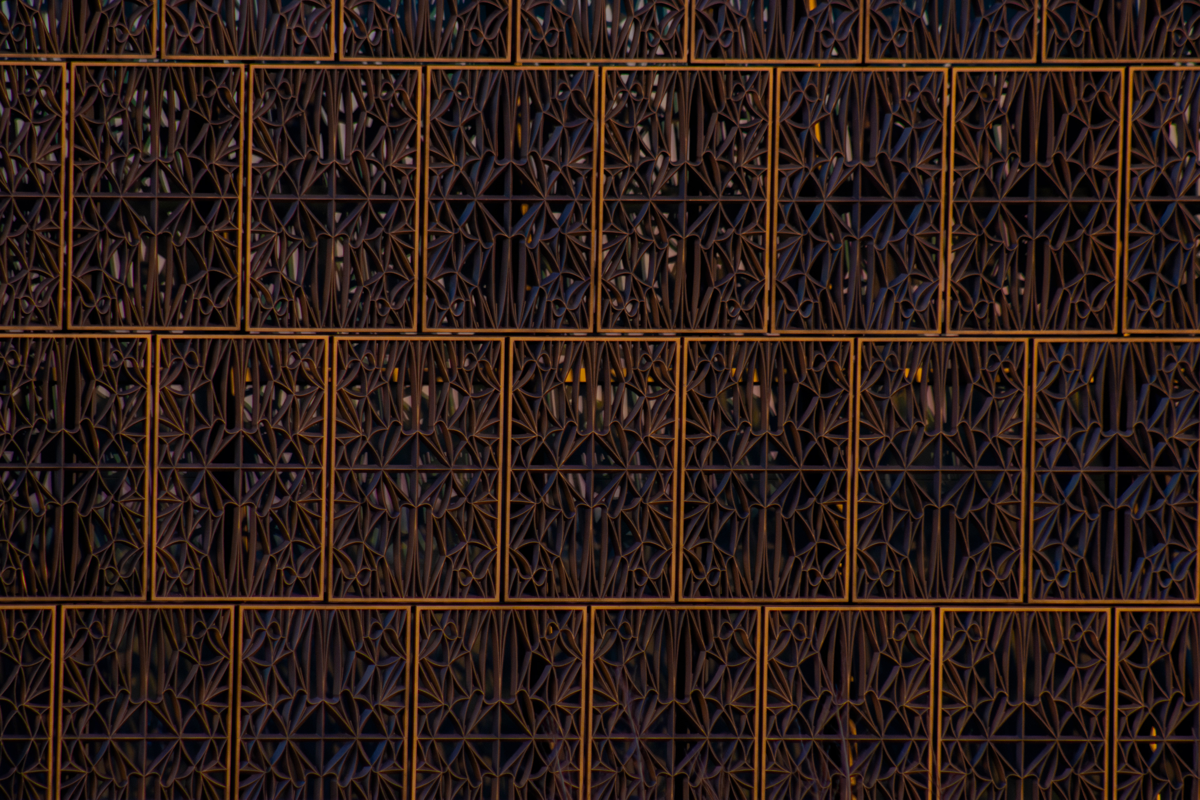 From Washington, D.C. (01/07/2026)