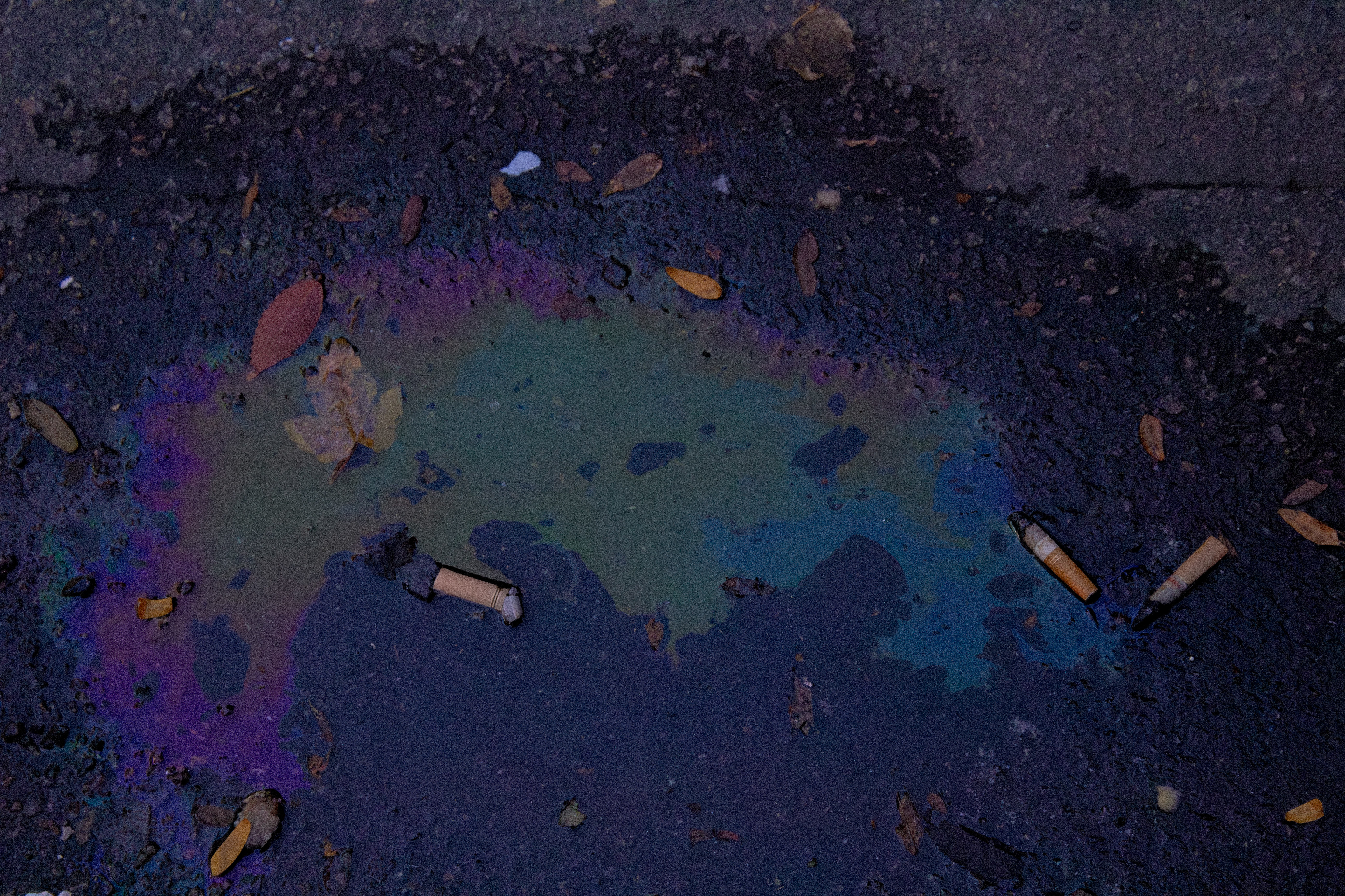 From Boston, MA. (10/21/2025)