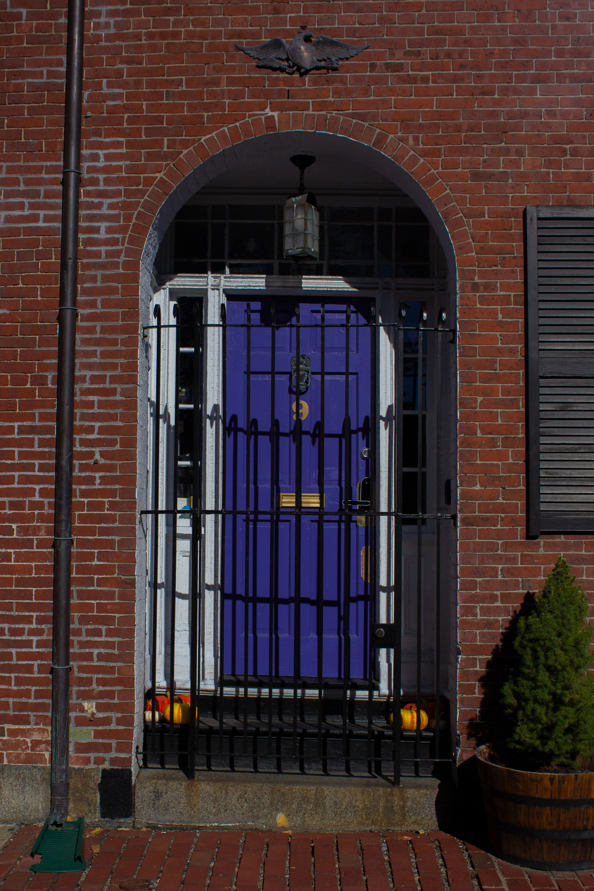 From Boston, MA. (10/21/2025)