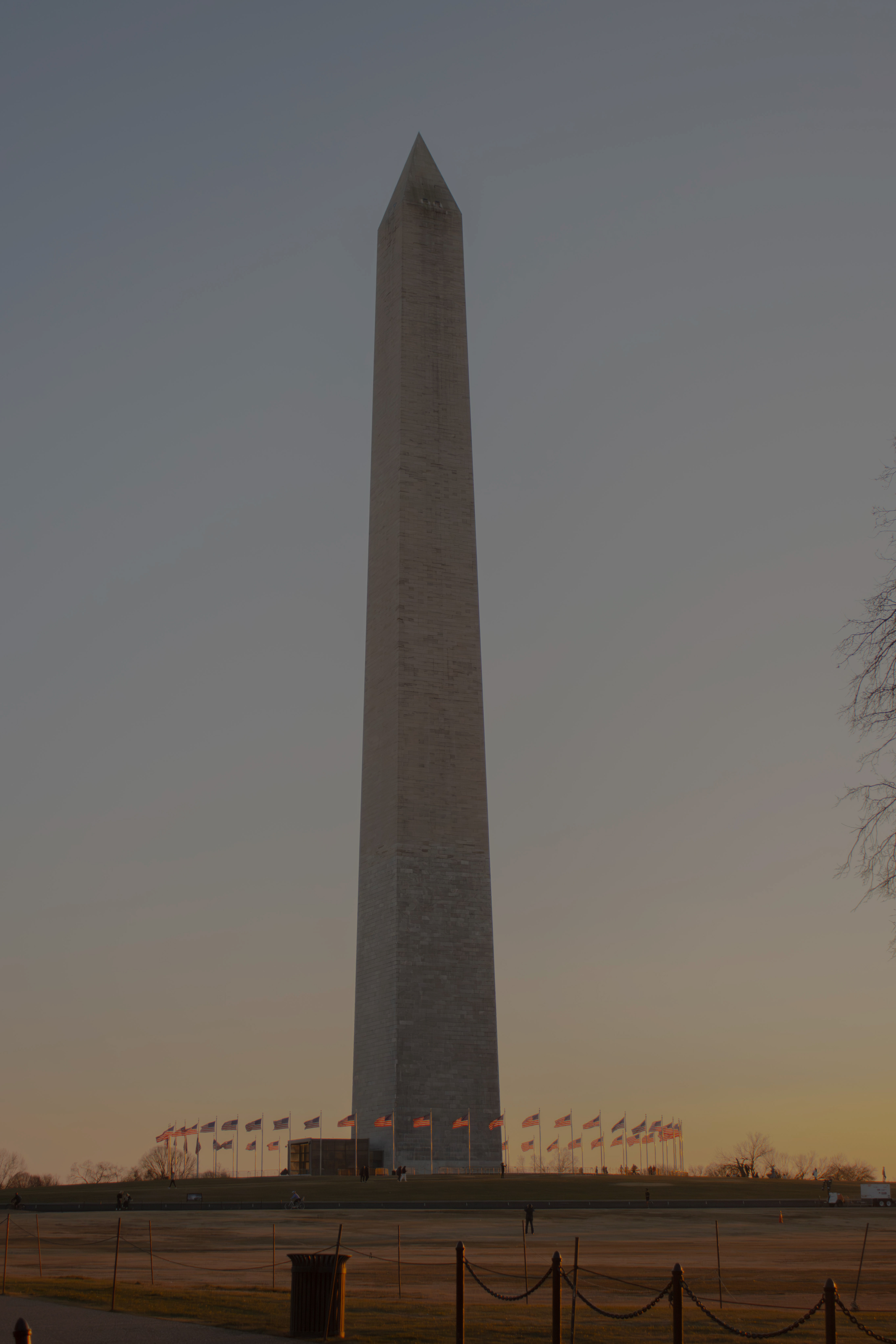 From Washington, D.C. (01/07/2026)