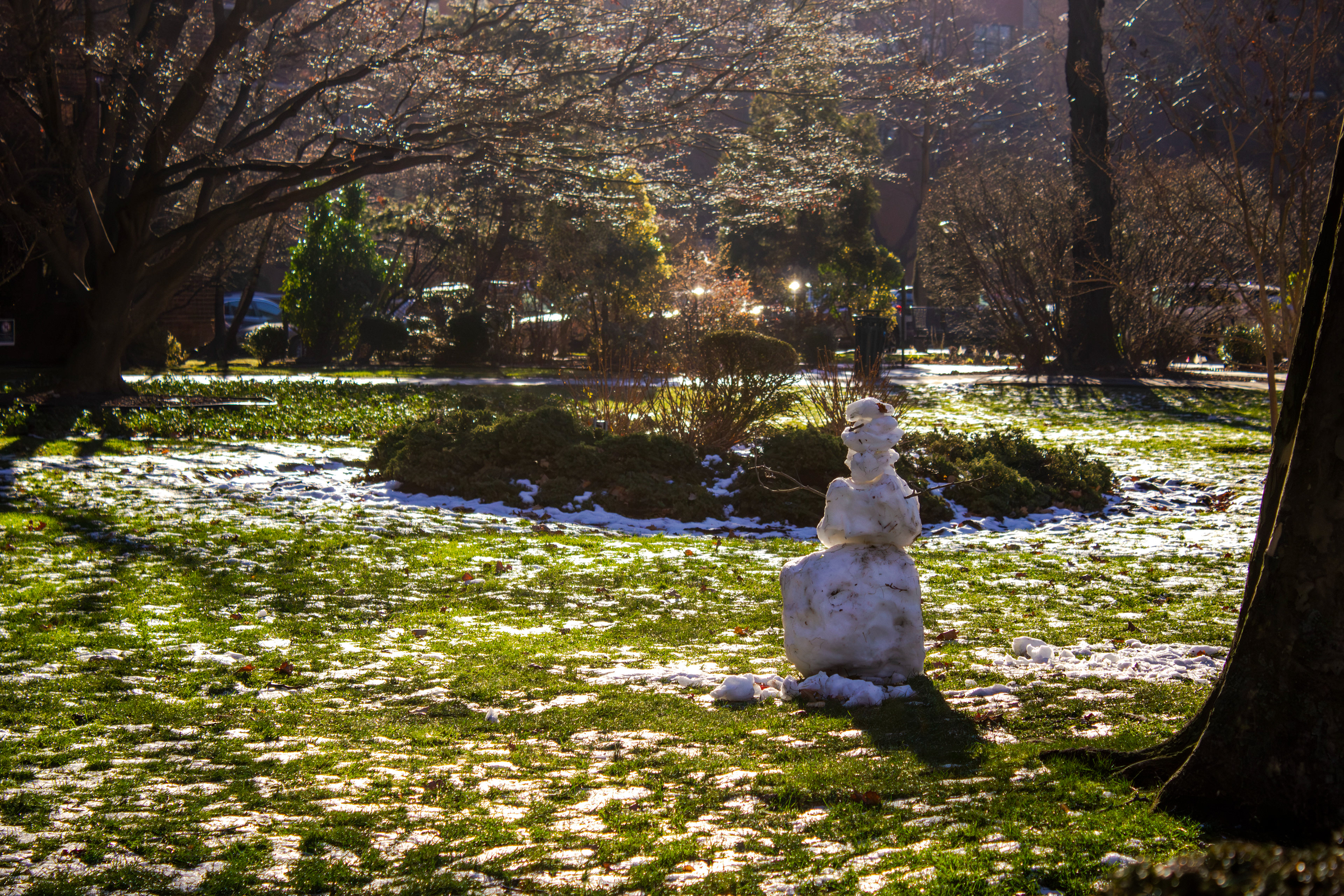 From New York City, NY. (12/18/2025).