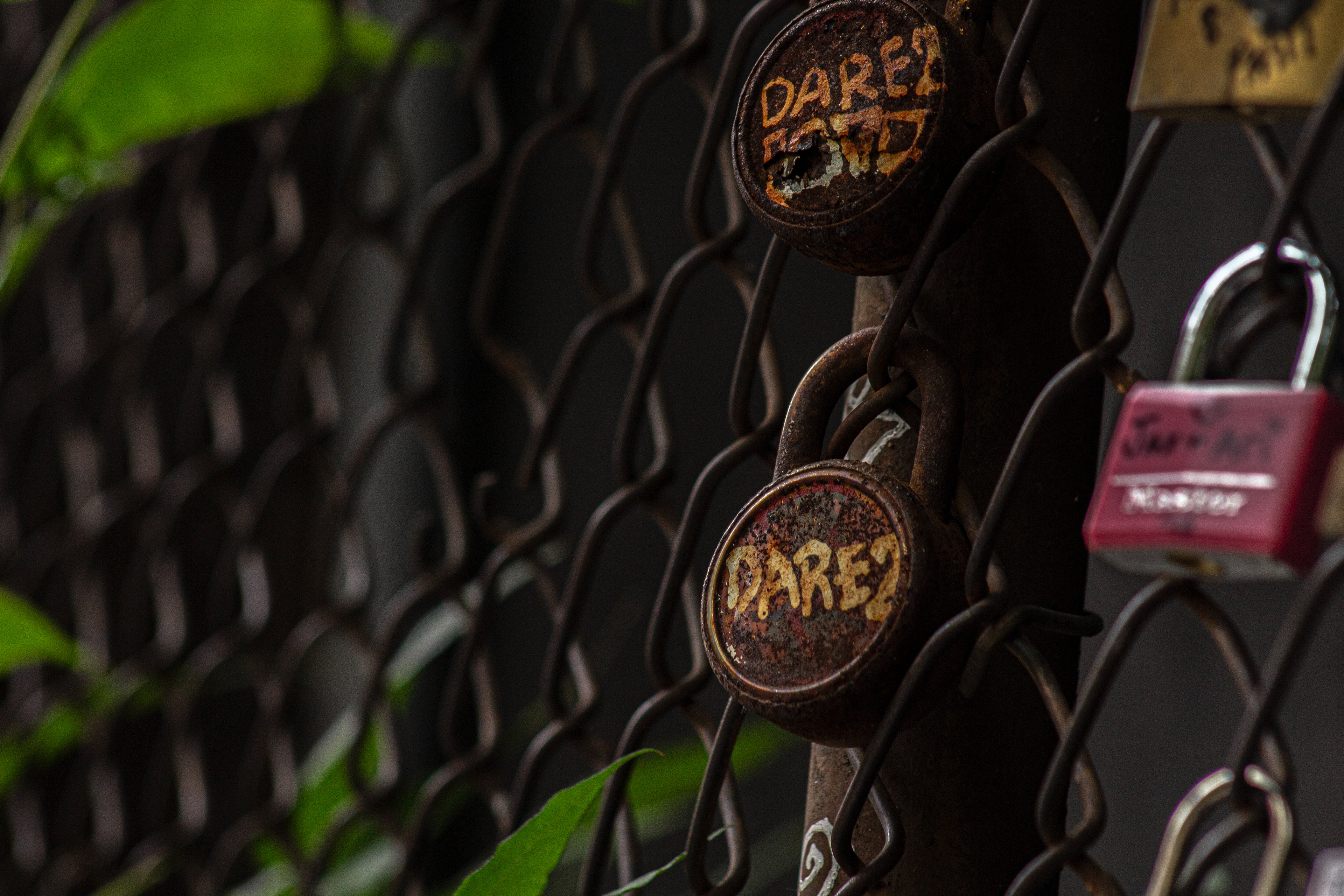 From New York City, NY. (08/15/2023)