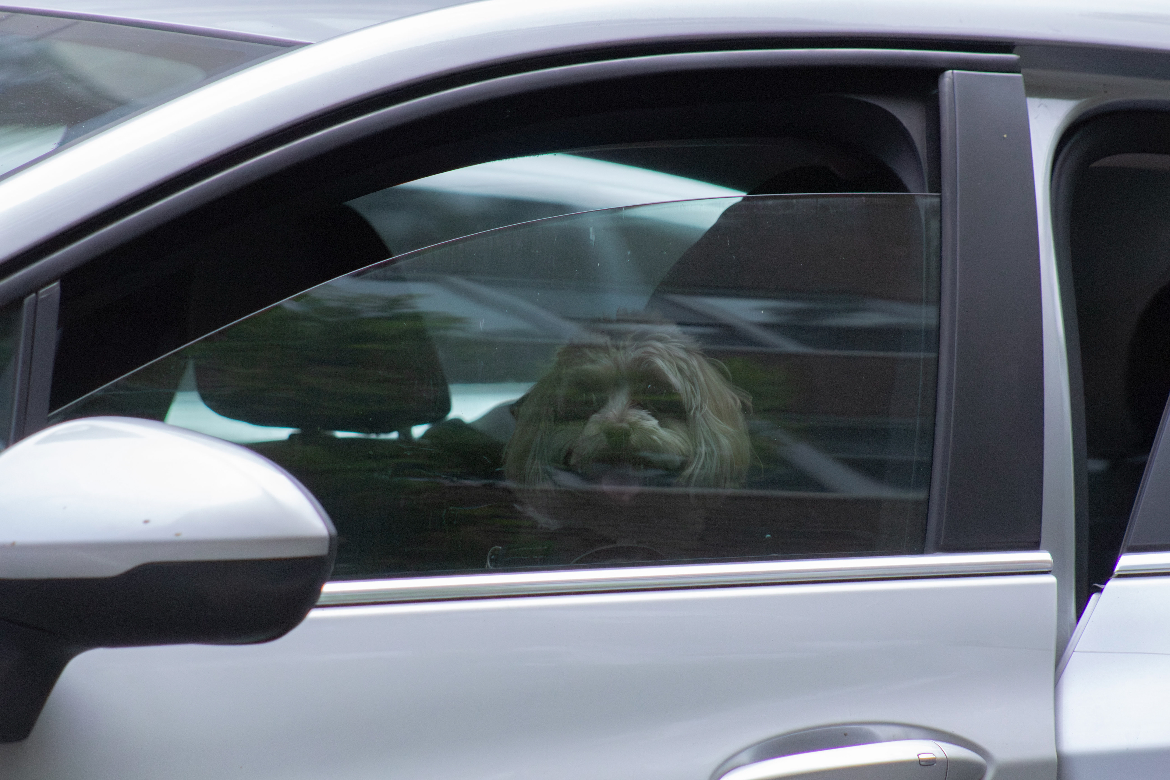 From New York City, NY. (05/14/2024).