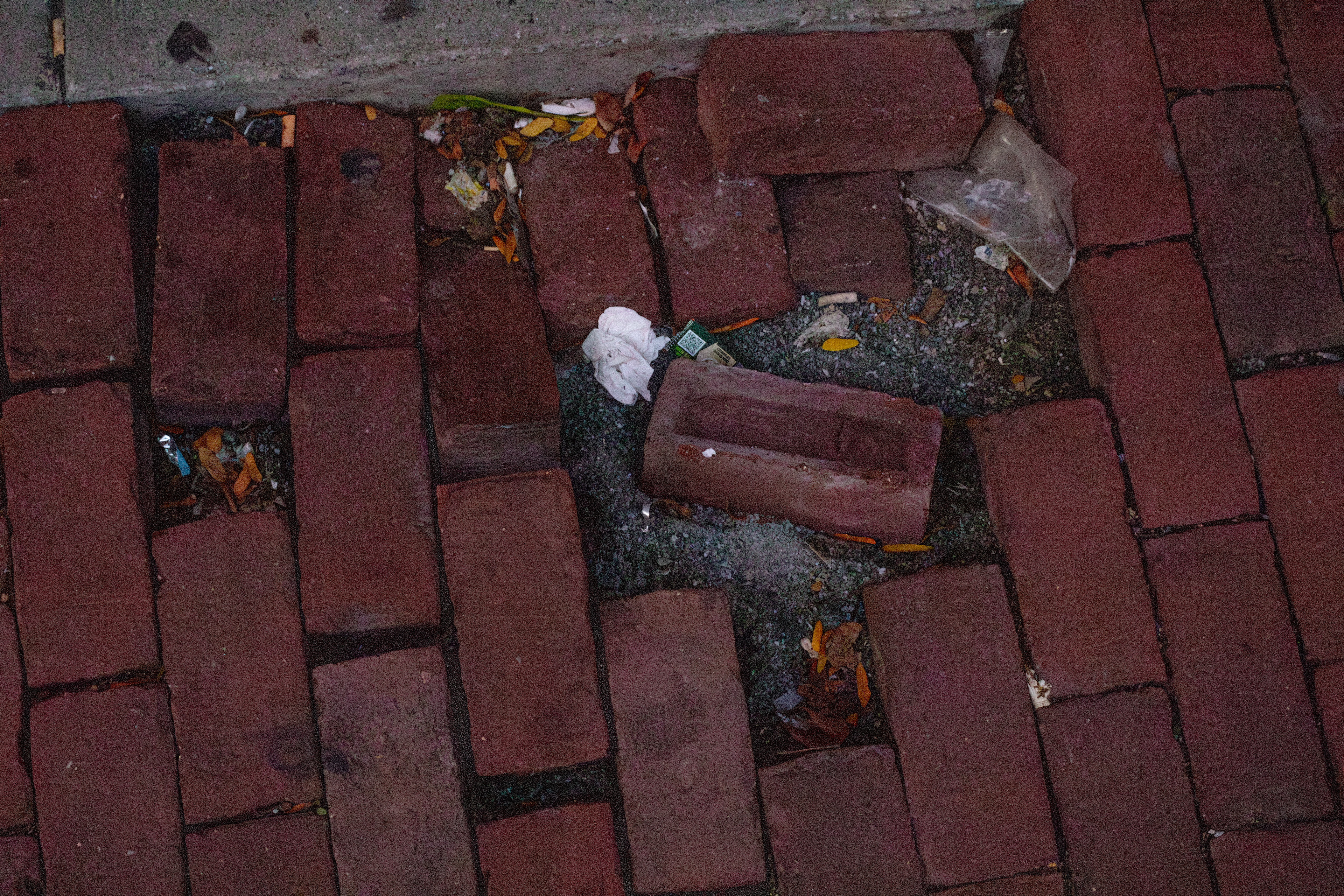 From Boston, MA. (10/23/2025)