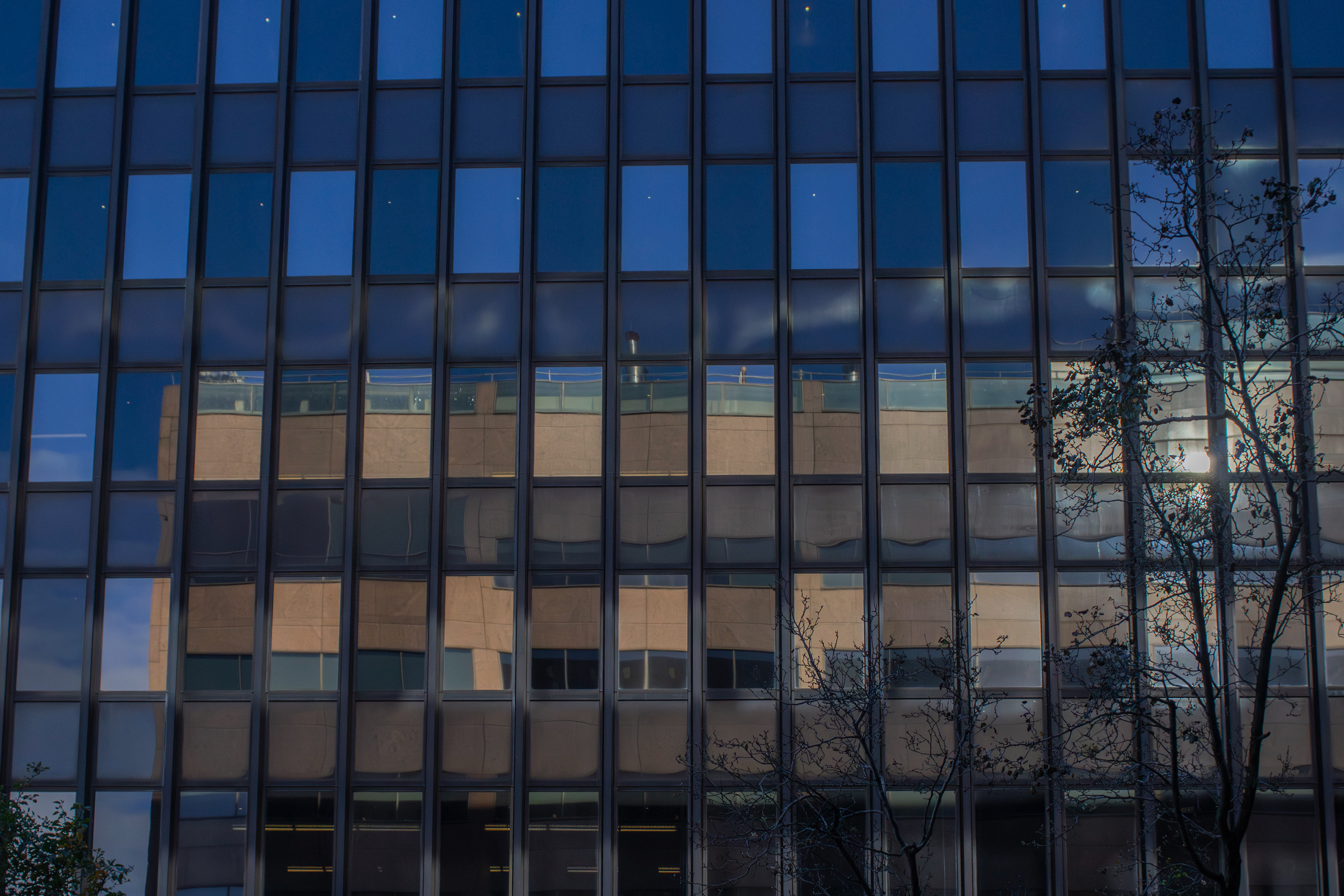 From Philadelphia, PA. (11/12/2025)