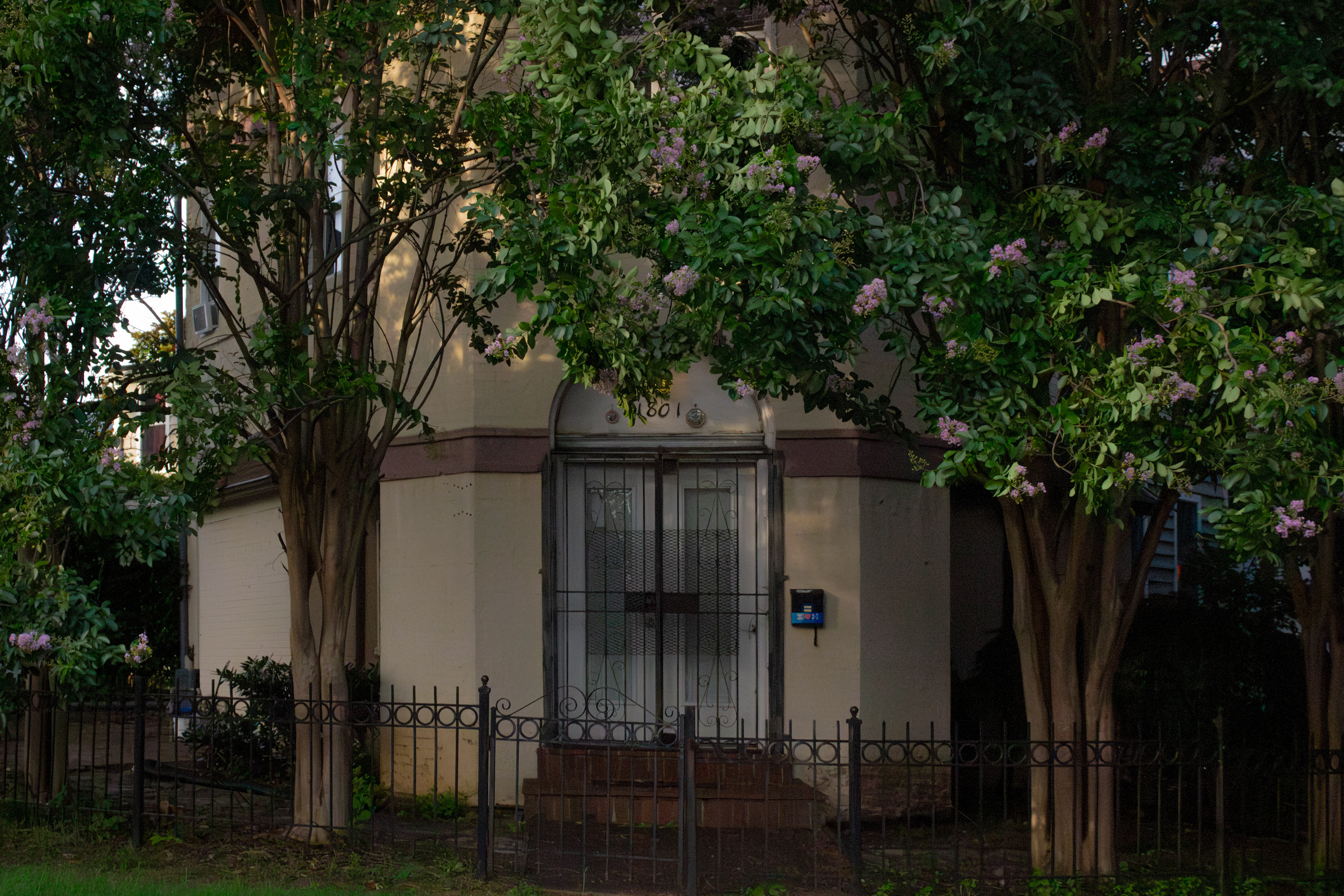 From Washington, D.C. (06/17/2025).