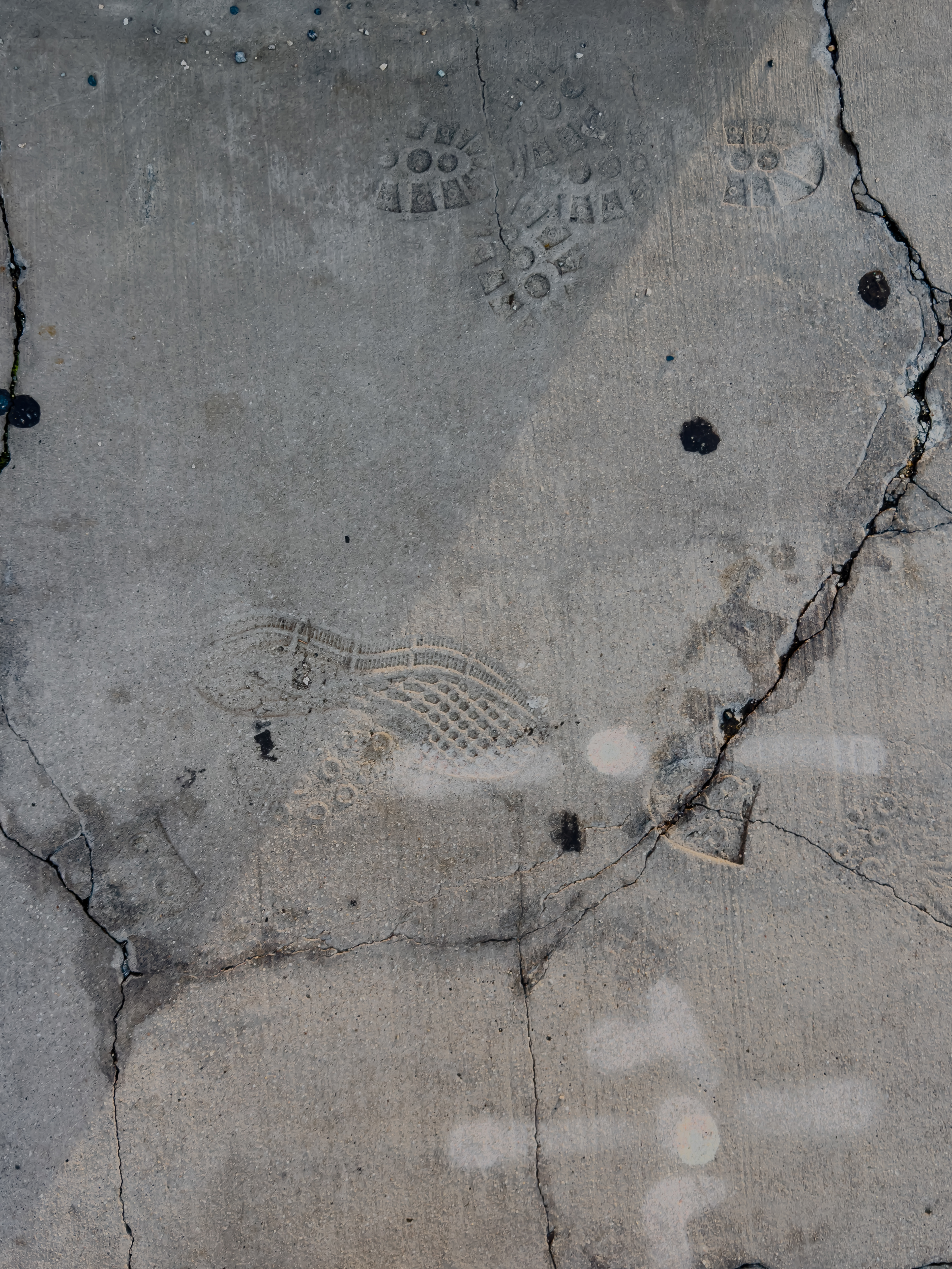 From Boston, MA. (10/23/2025)