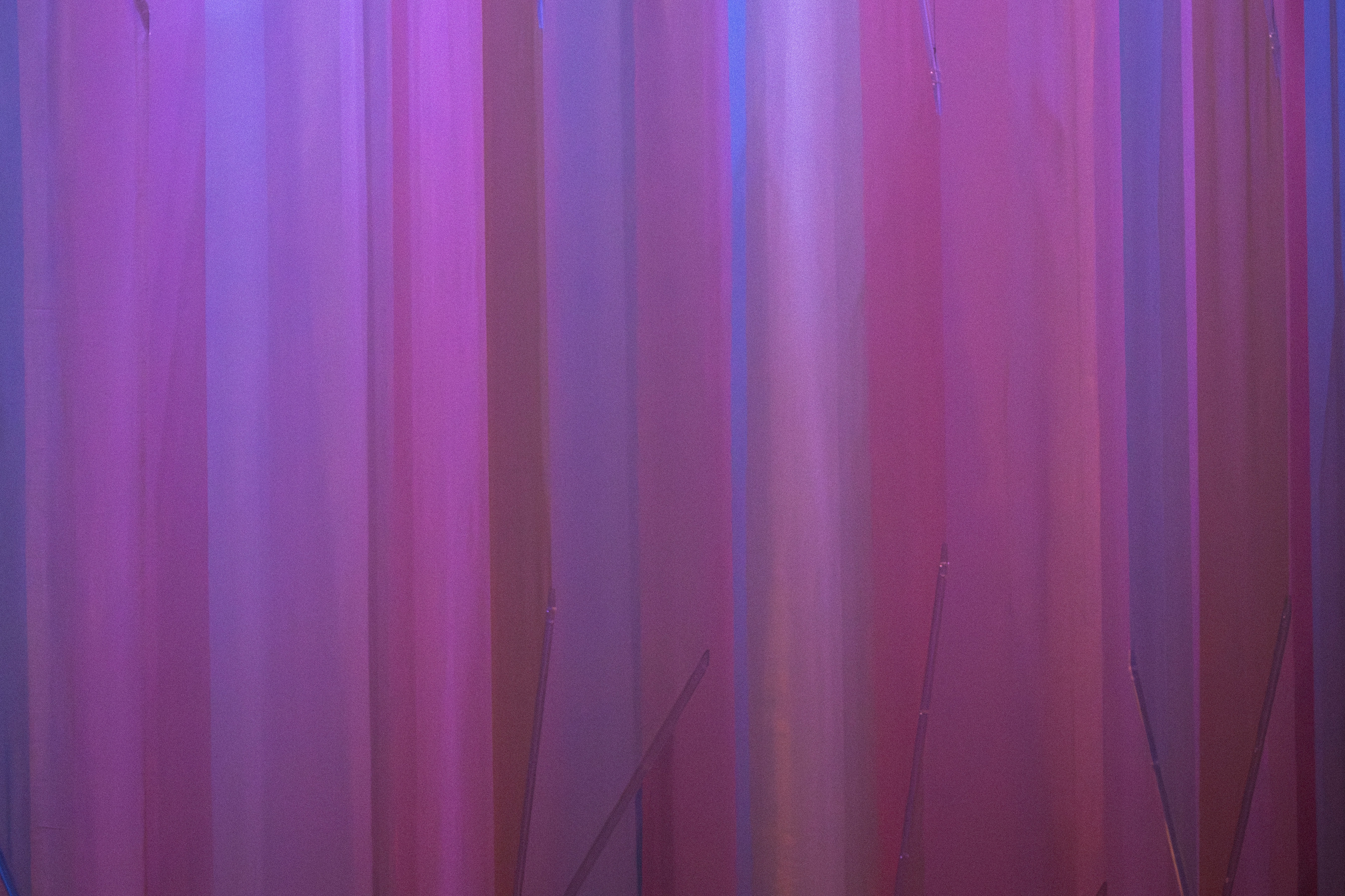 From Kennett Square, PA. (1/04/2026)