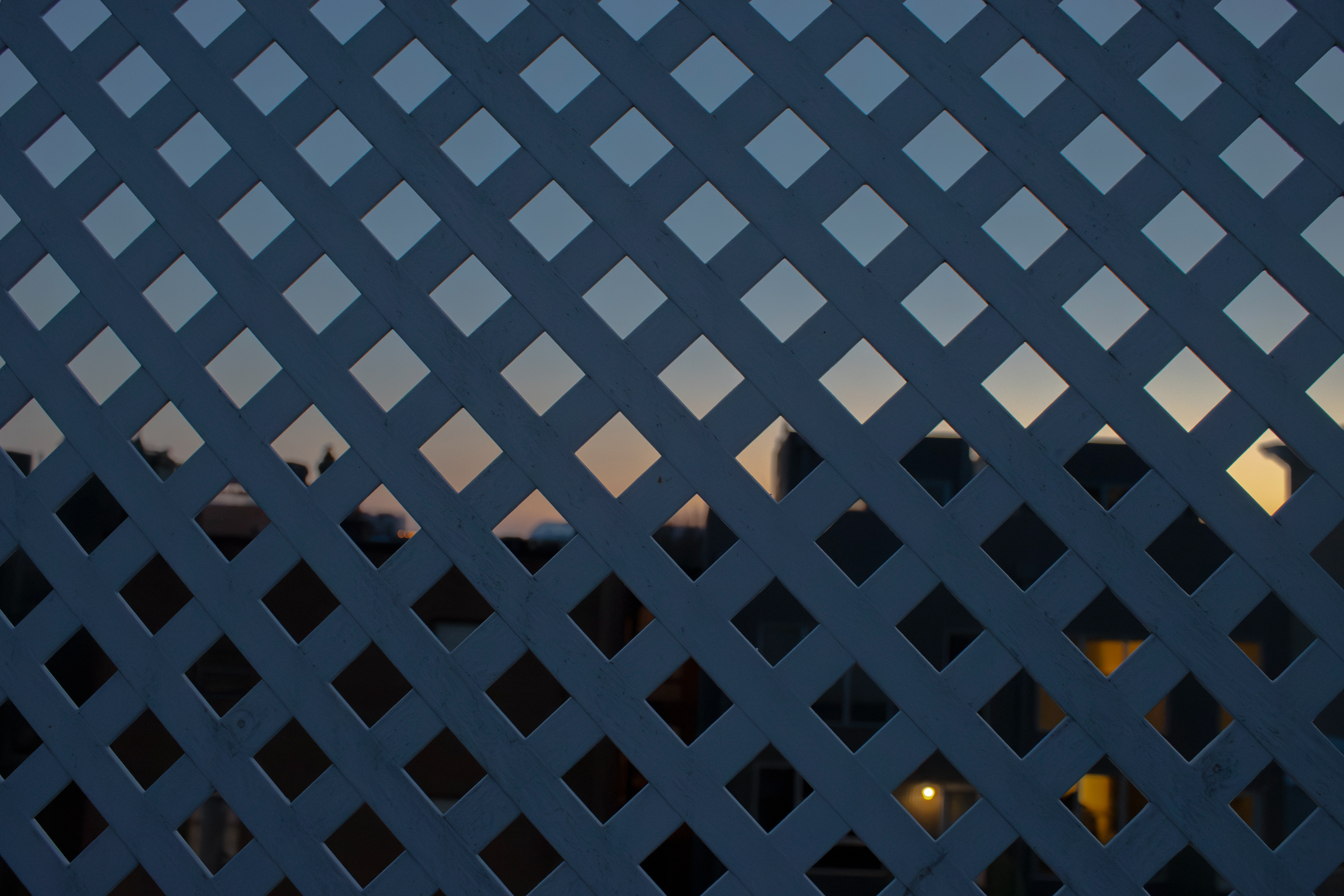 From Washington, D.C. (01/07/2026)