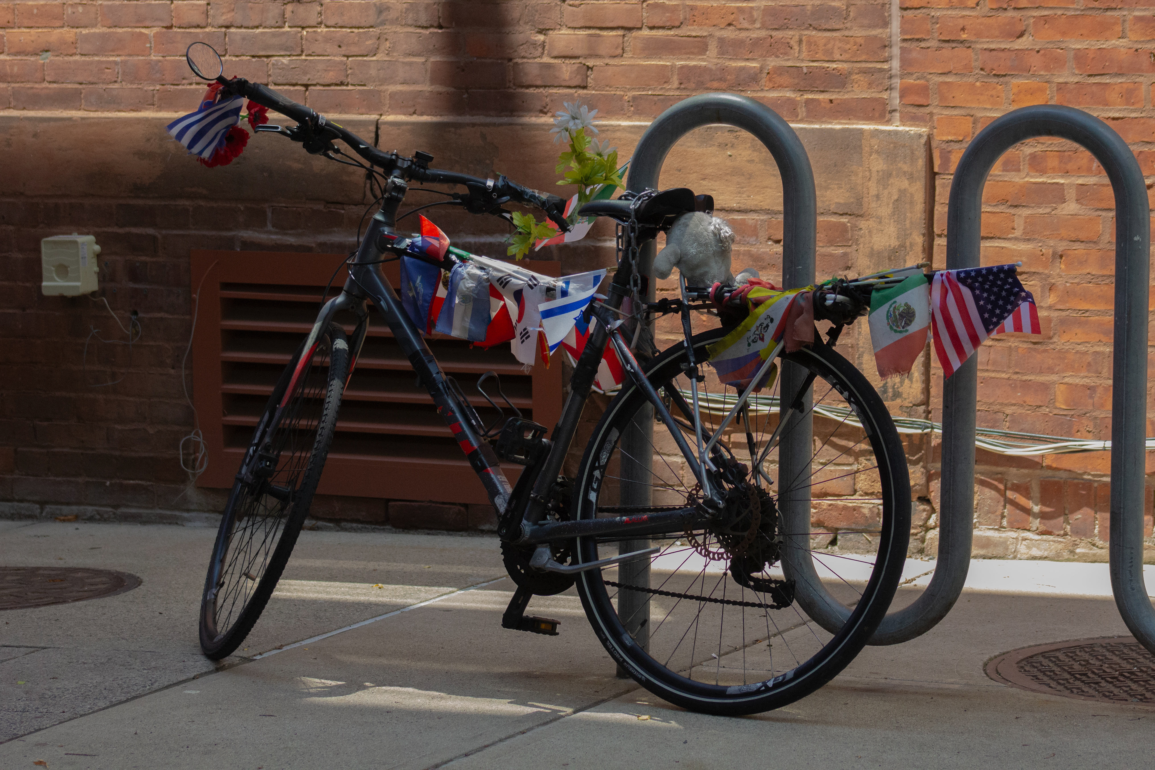 From New Haven, CT. (07/08/2025).