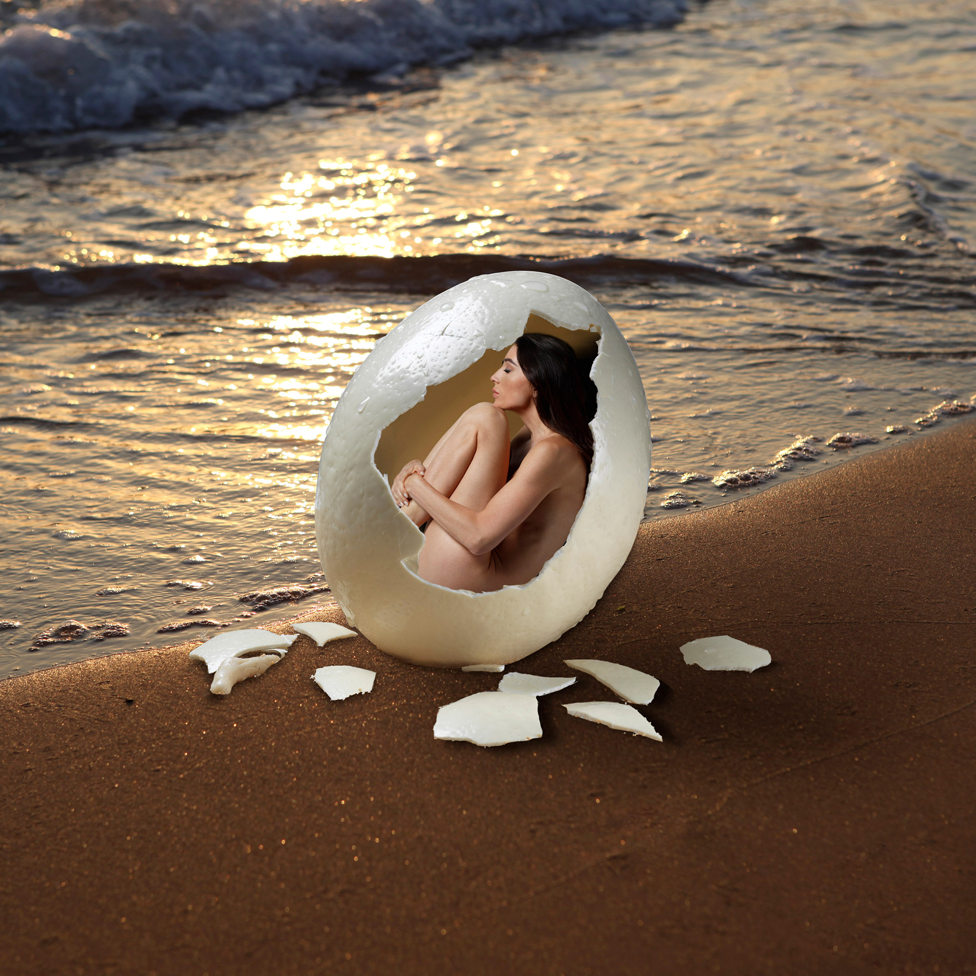 w.opens the egg-square