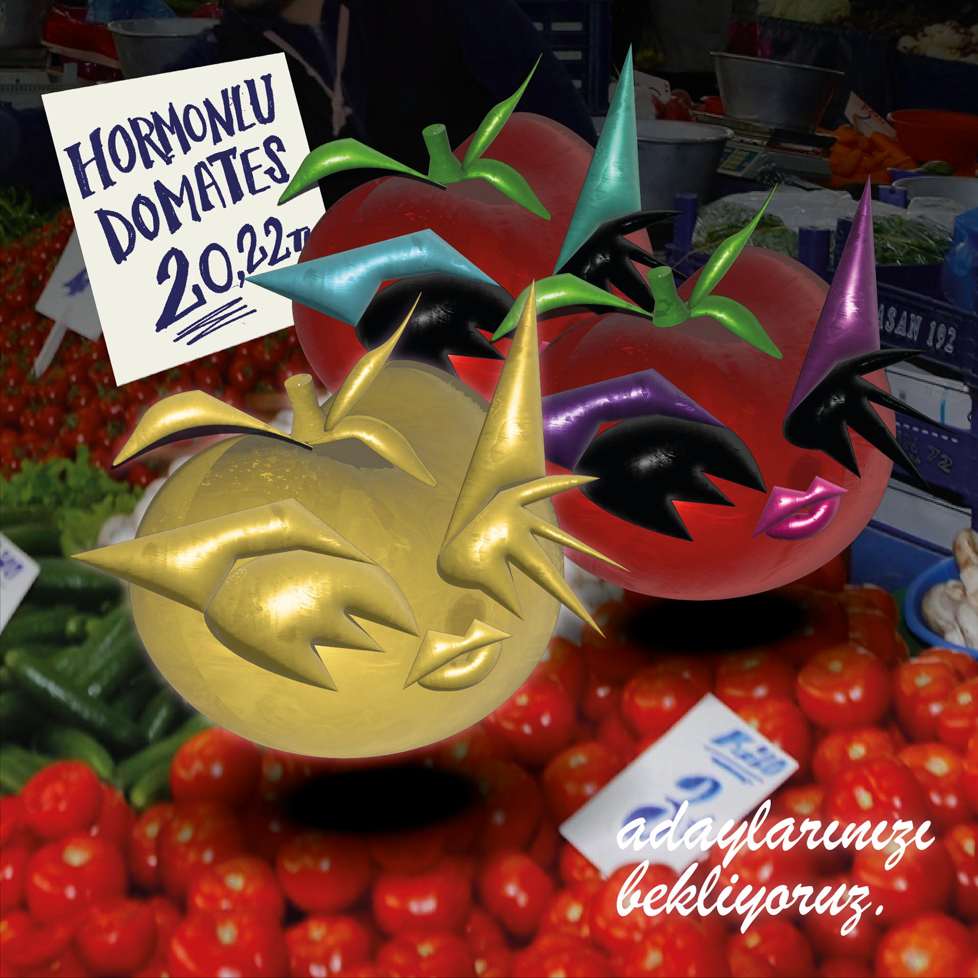 Instagram post for the call for candidates for the "Tomato with Hormones" LGBT+phobia Rewards