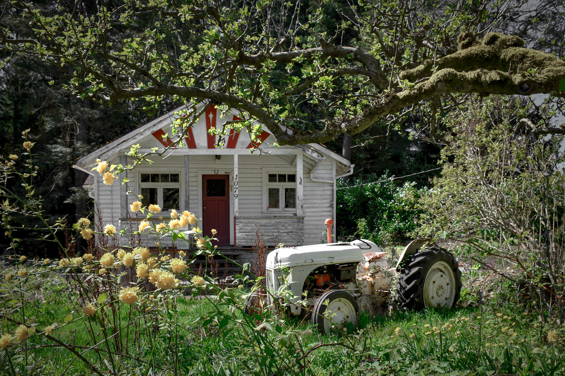 Sleeping Tractor
