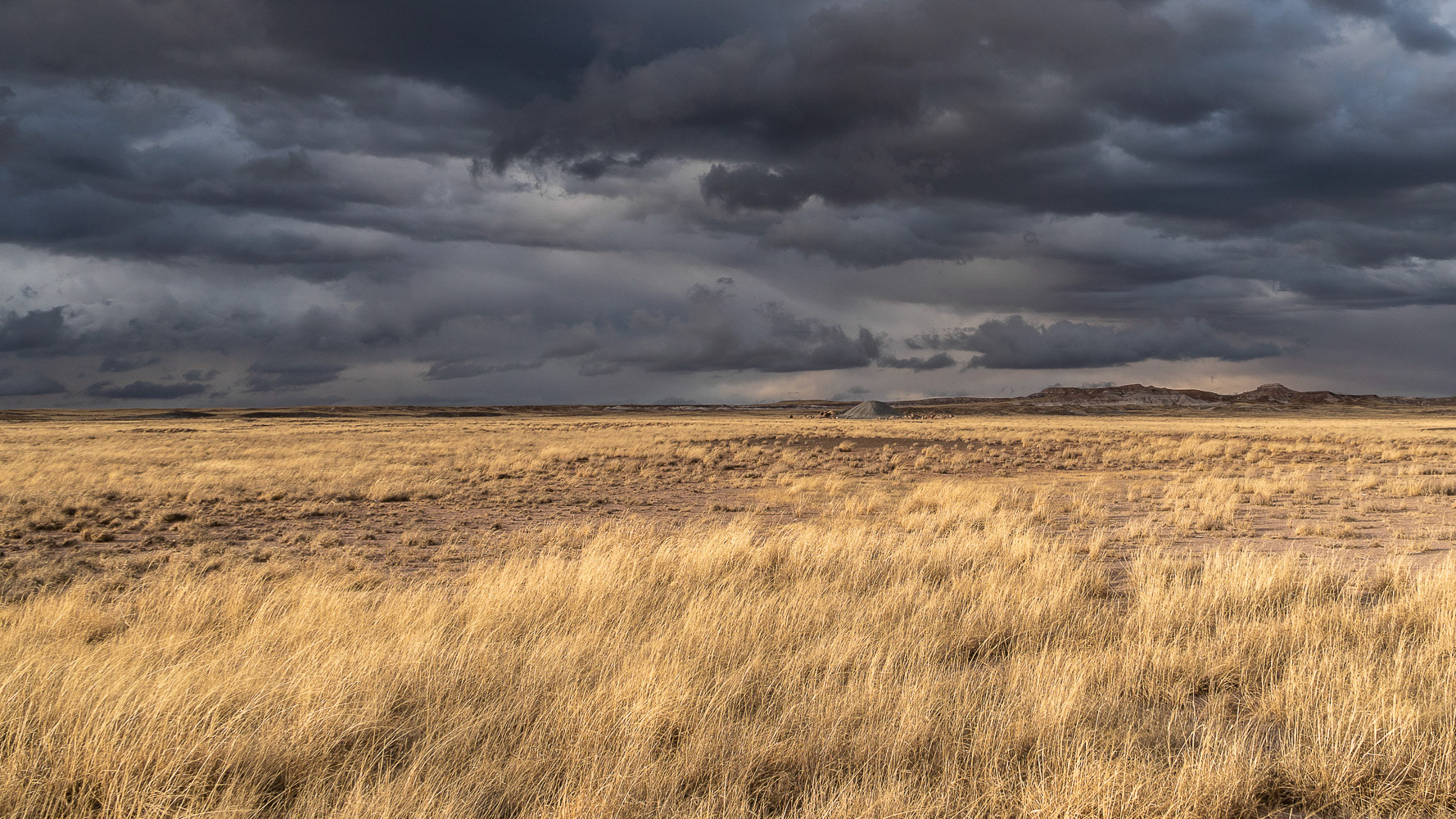 Painted Desert as storm approaches - Epic Route 66 Trip