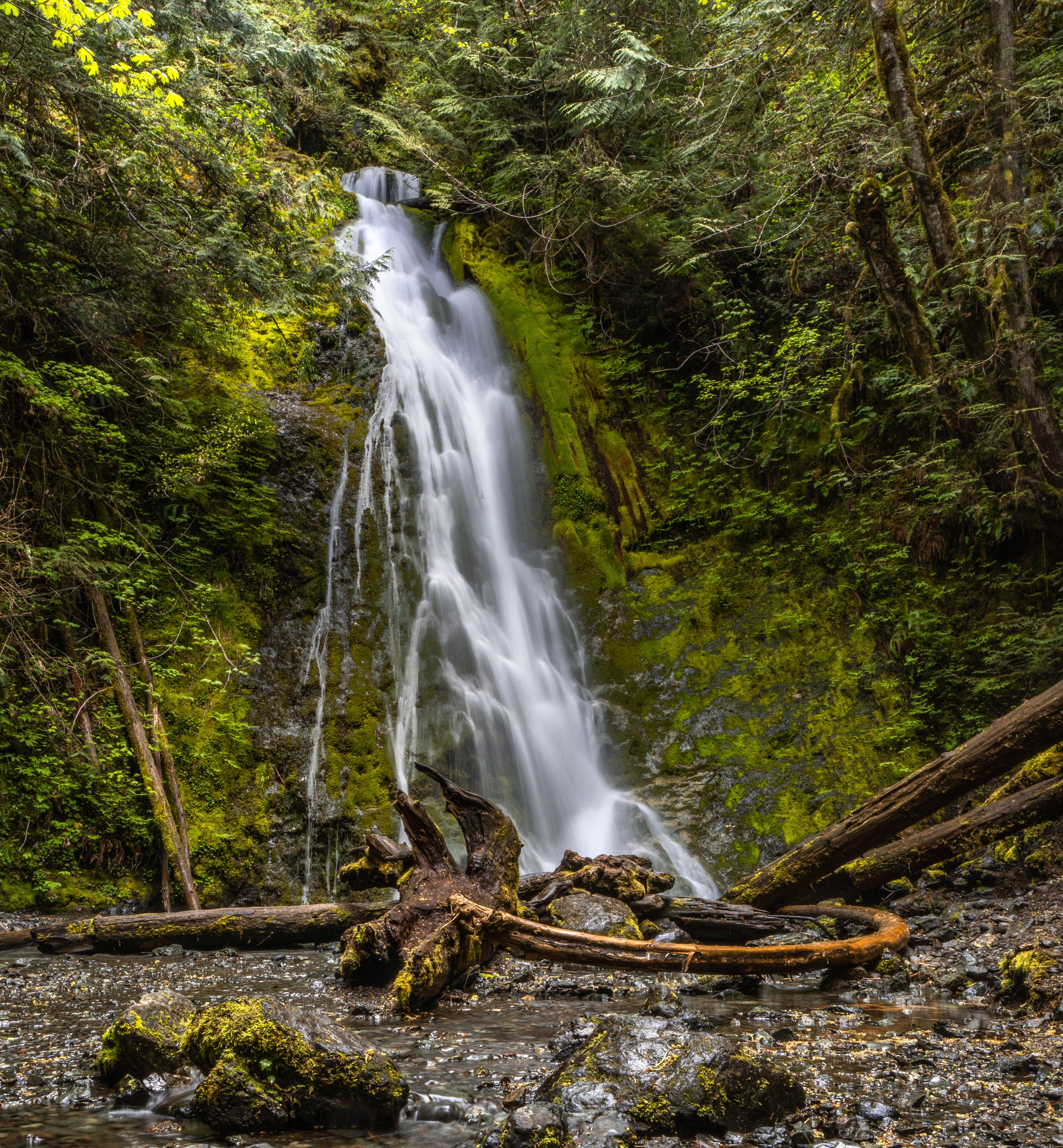 Madison Falls  - Olympic National Park