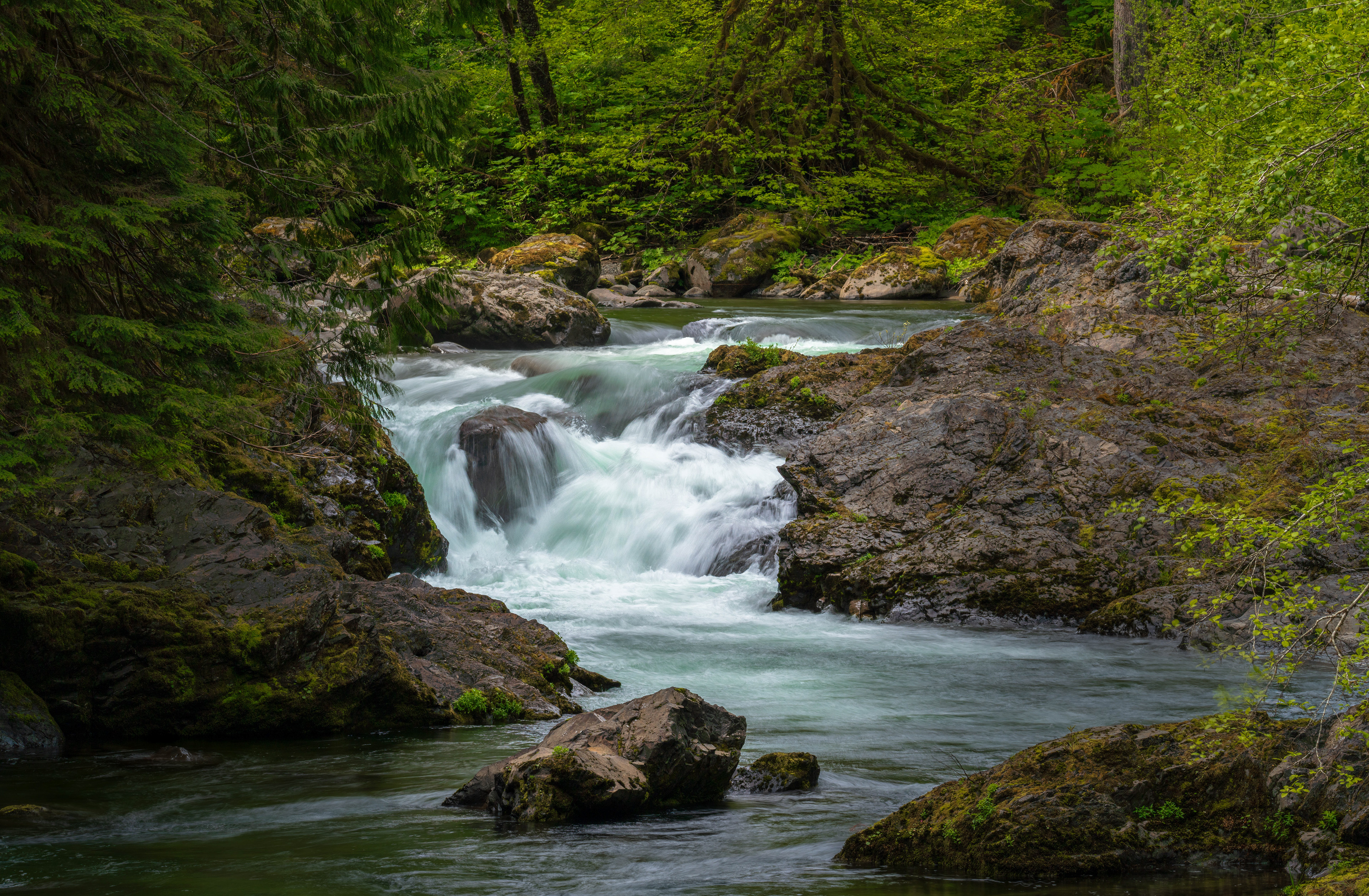 Sol Duc River Cascade, Olympic National Park WA