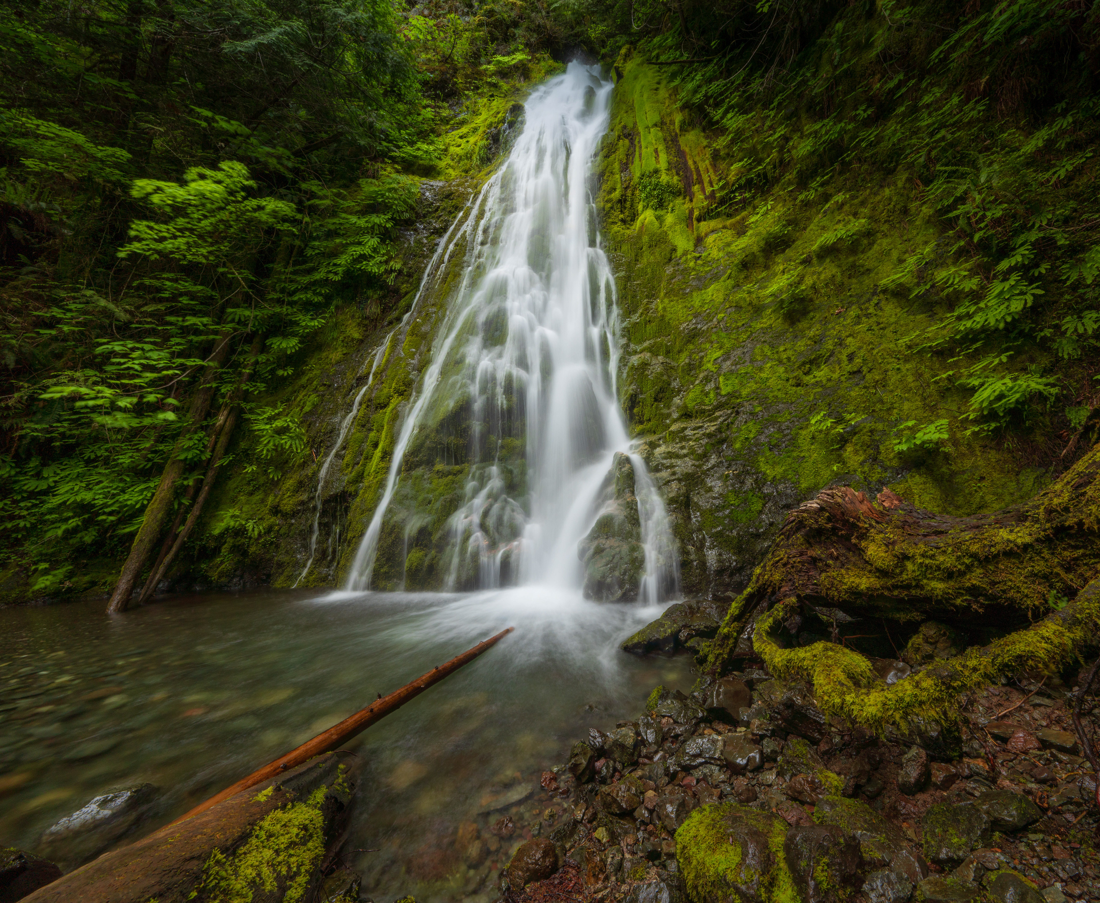 Madison Falls from the Side - Olympic National Park WA