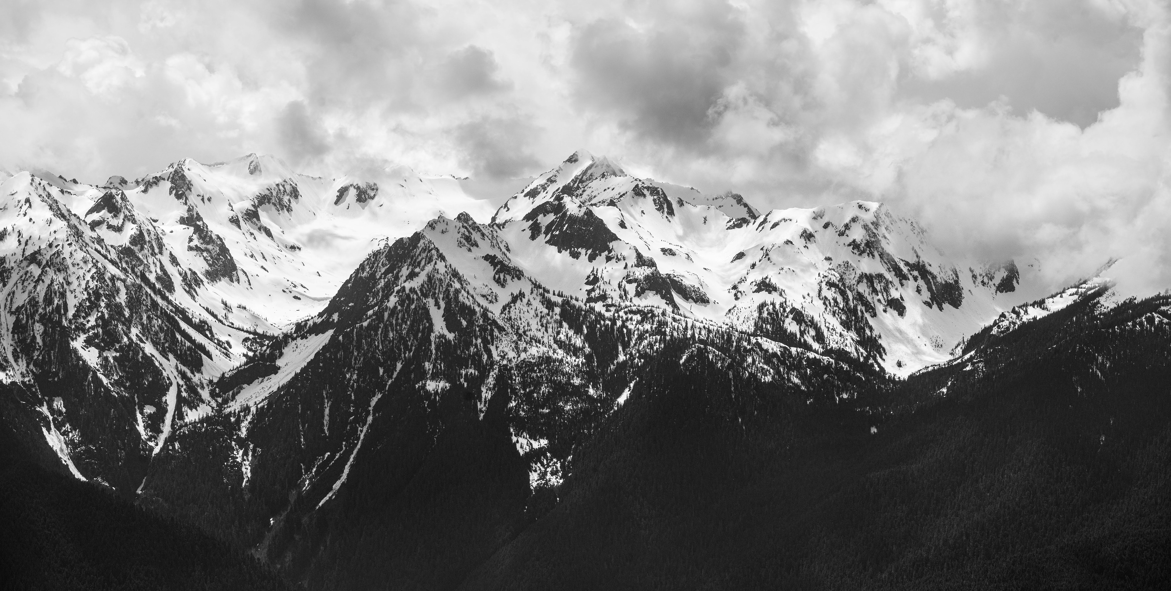 Olympic Mountains from Hurricane Ridge, Olympic National Park. 