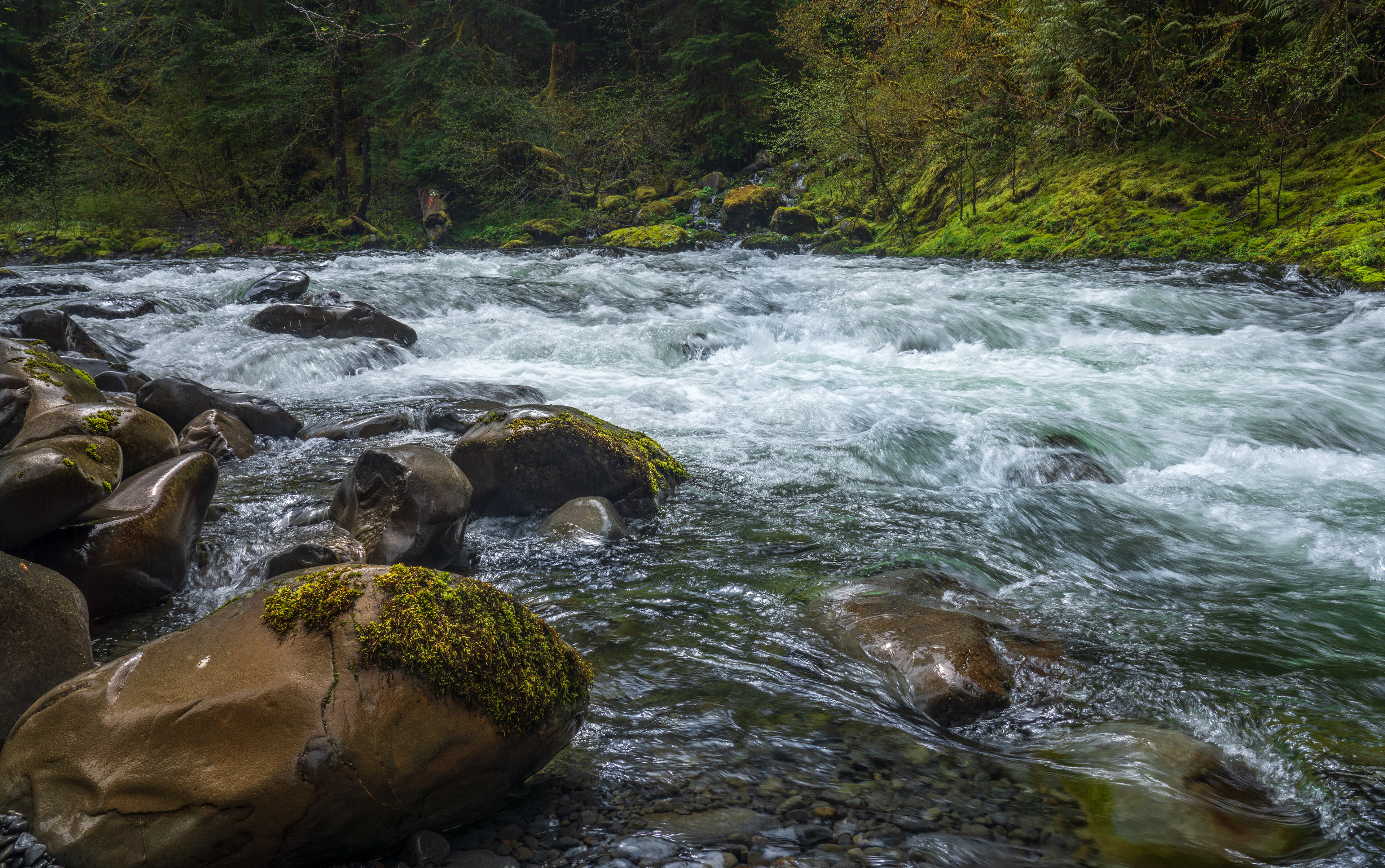 Sol Duc River, Olympic National Park WA