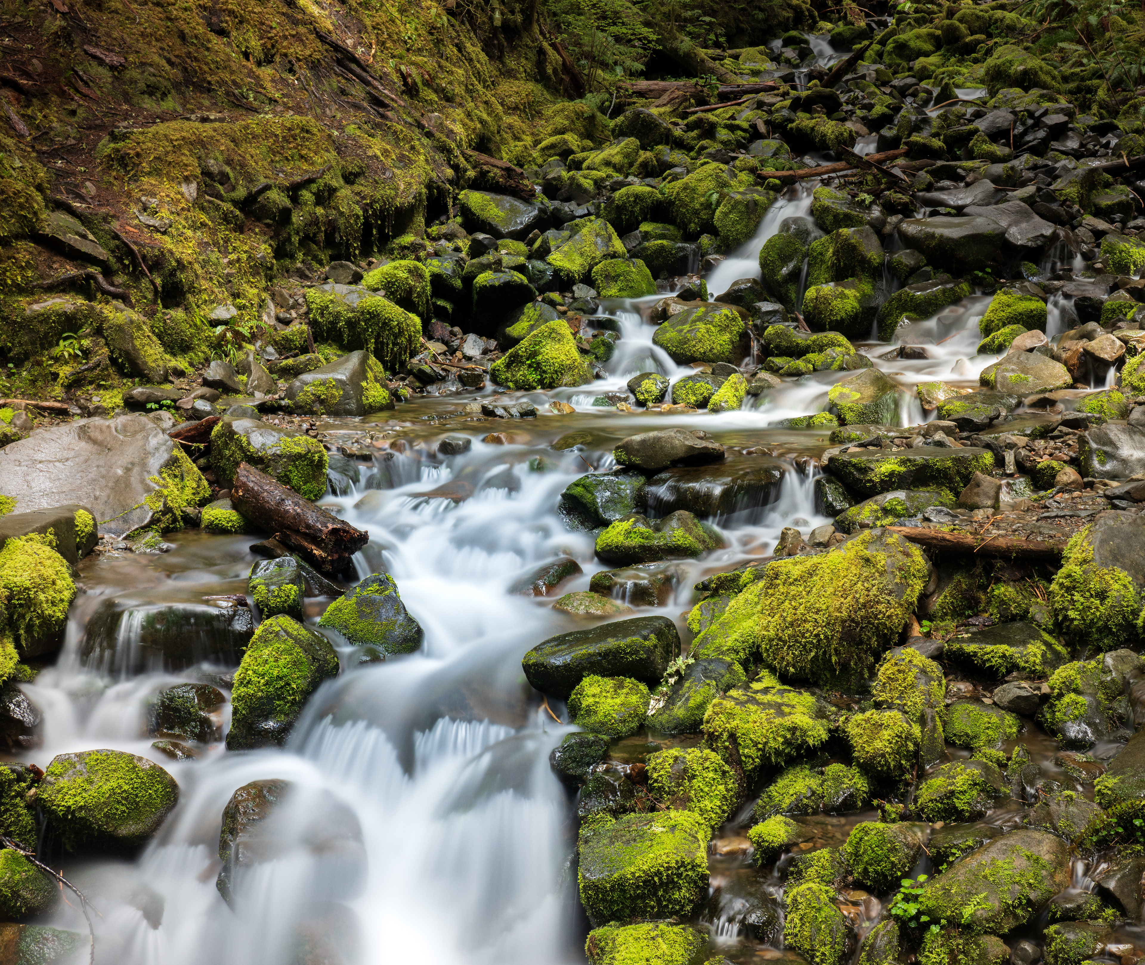 Cascade along Sol Duc Falls trail, Olympic National Park WA
