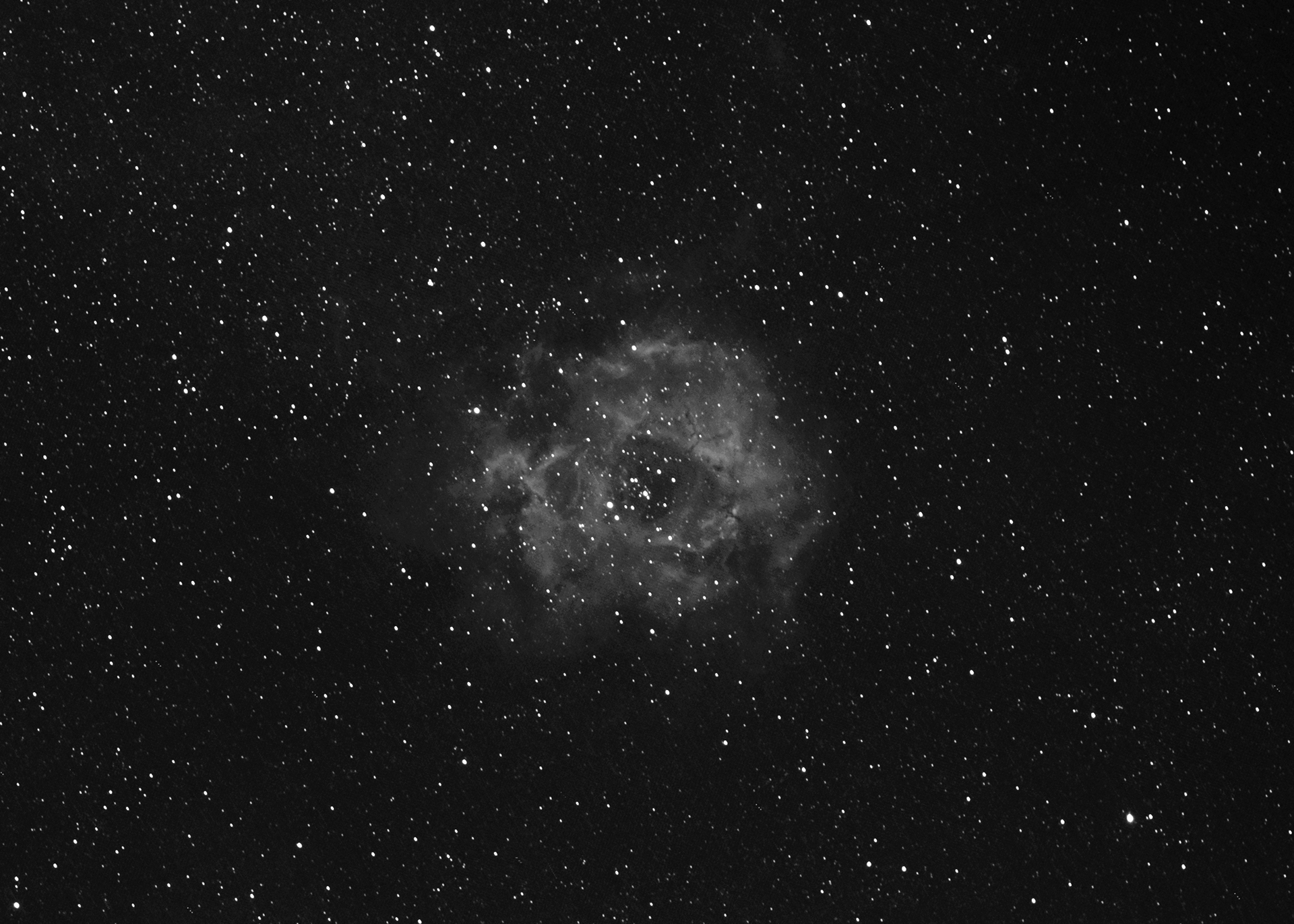 Rosette Nebula, Hydrogen Alpha only