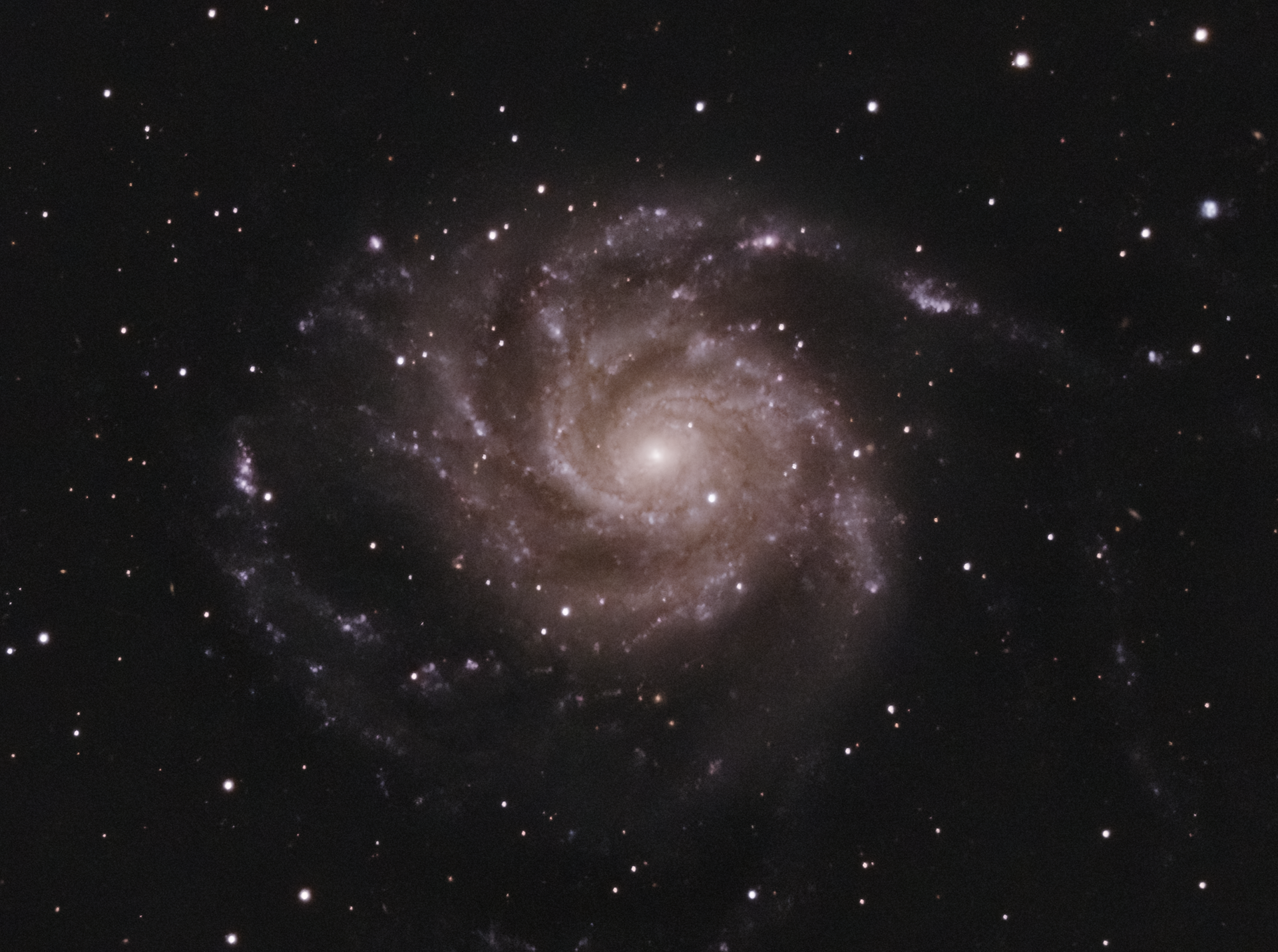 Pinwheel Galaxy