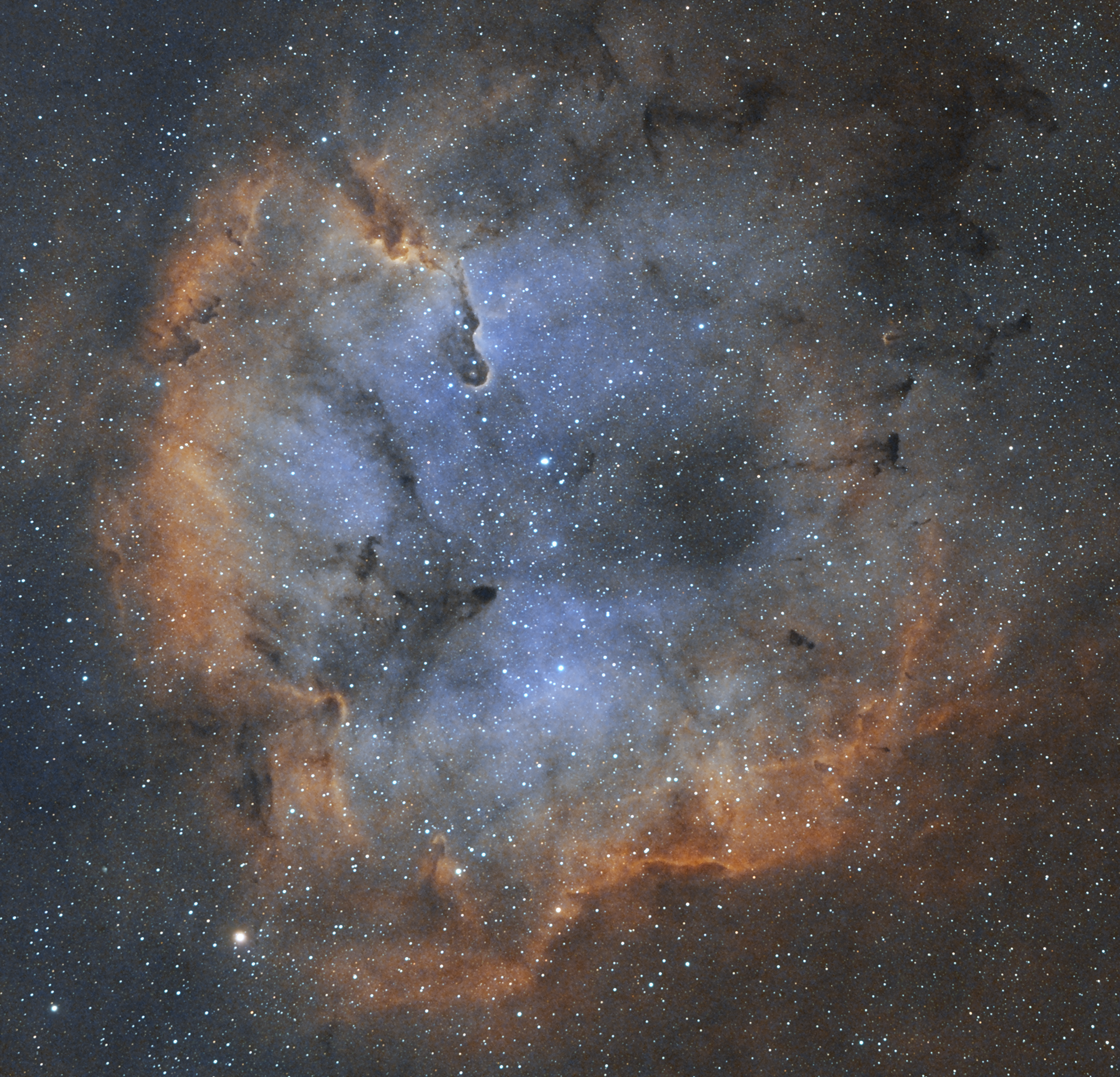 Elephant Trunk Nebula
