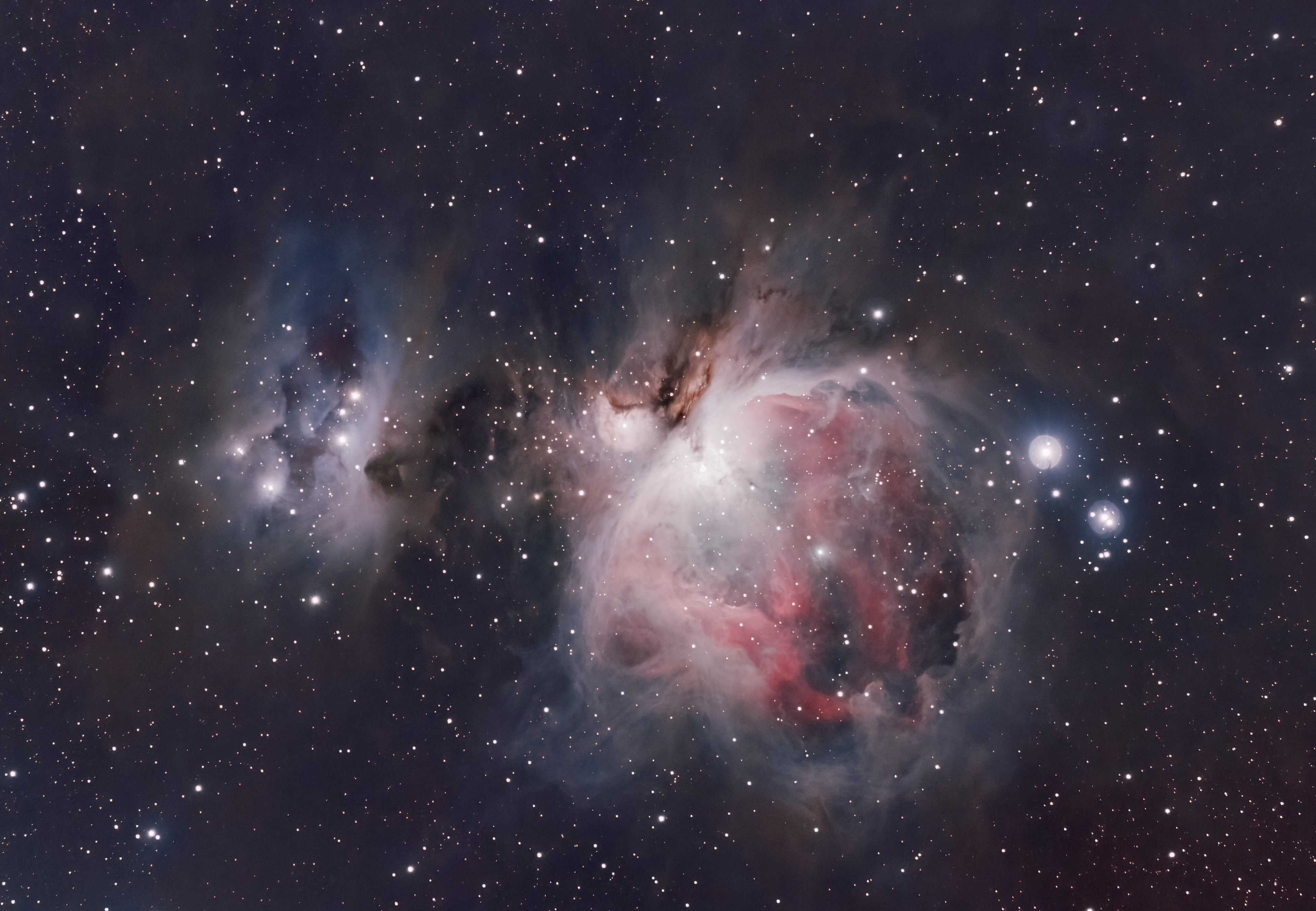 Orion Nebula