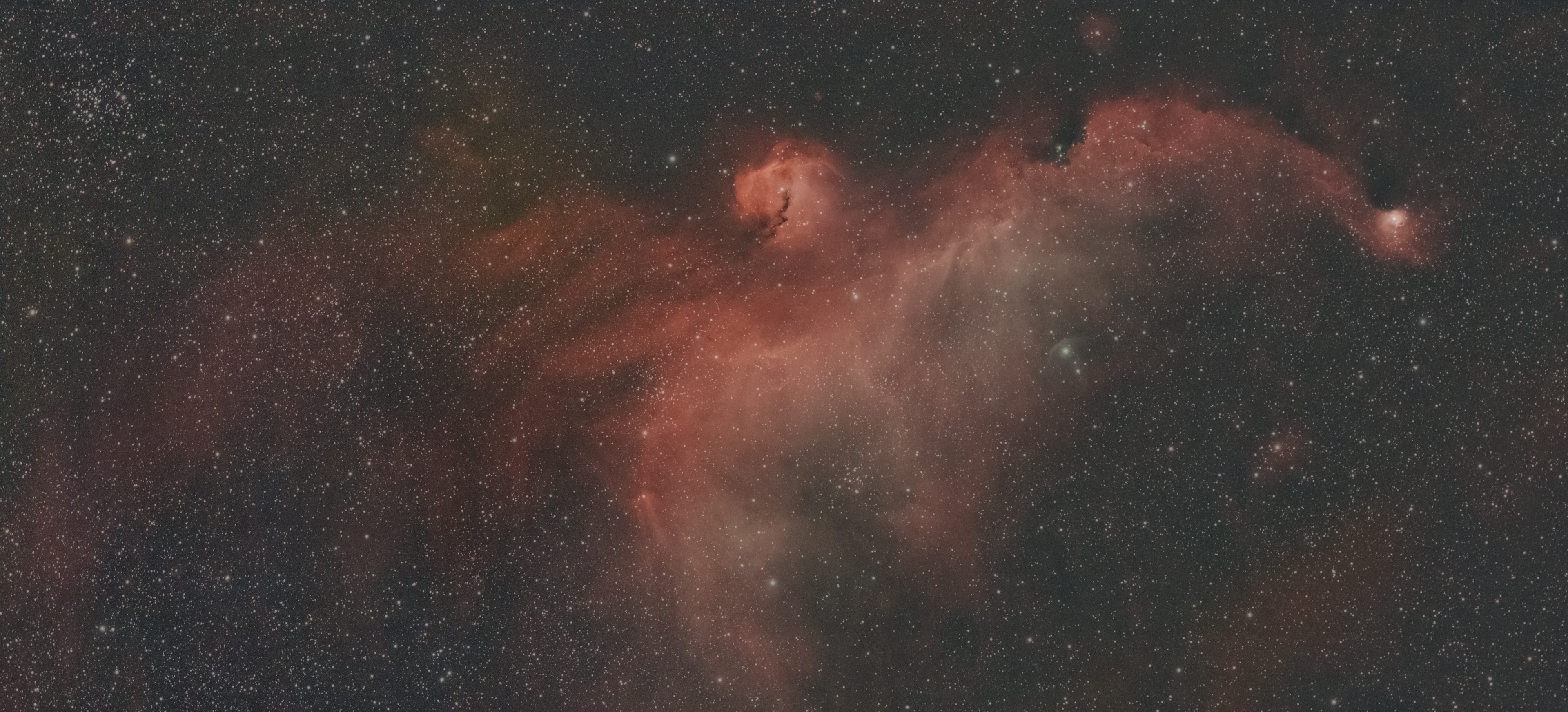 Seagull Nebula