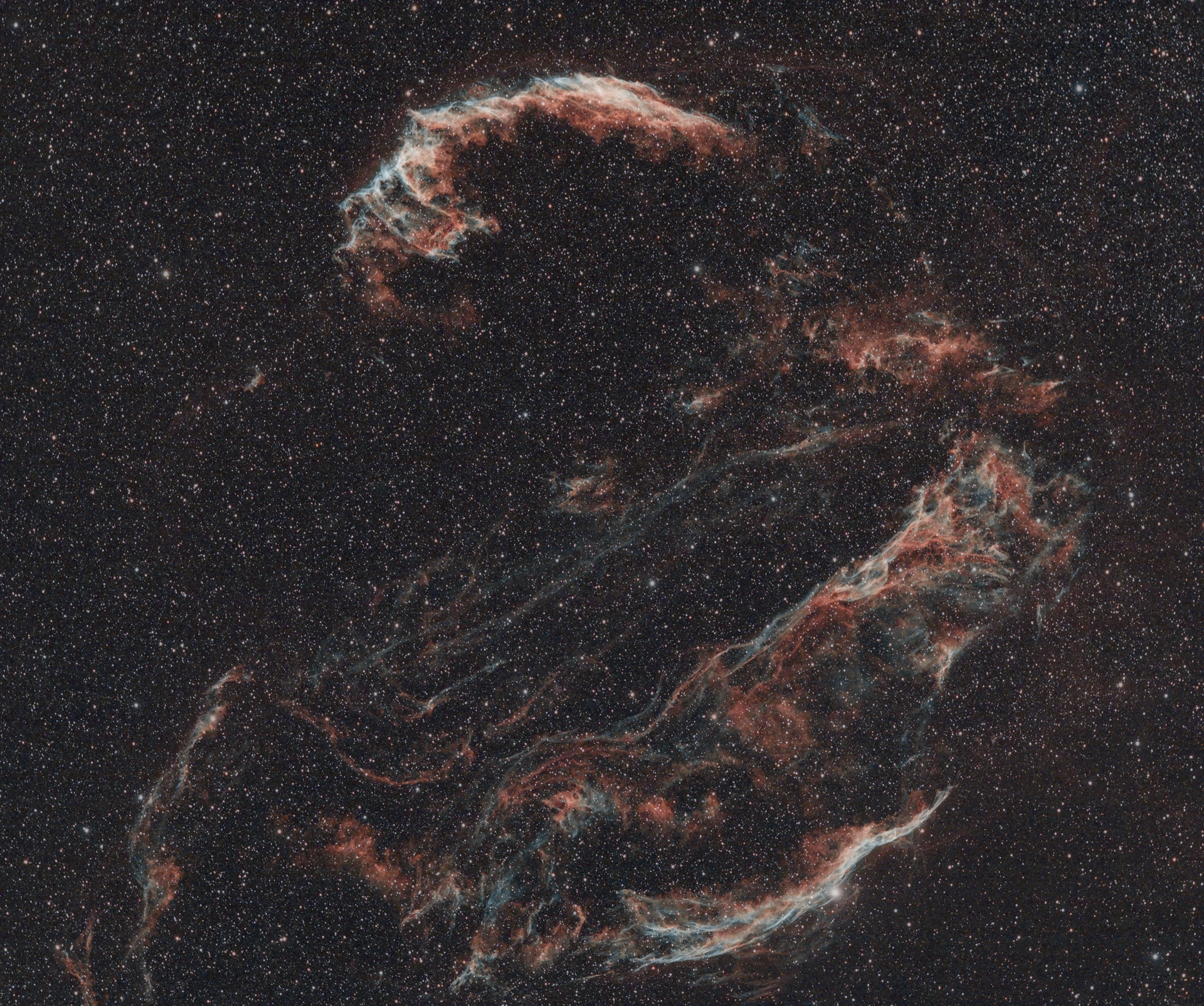 Cygnus Loop