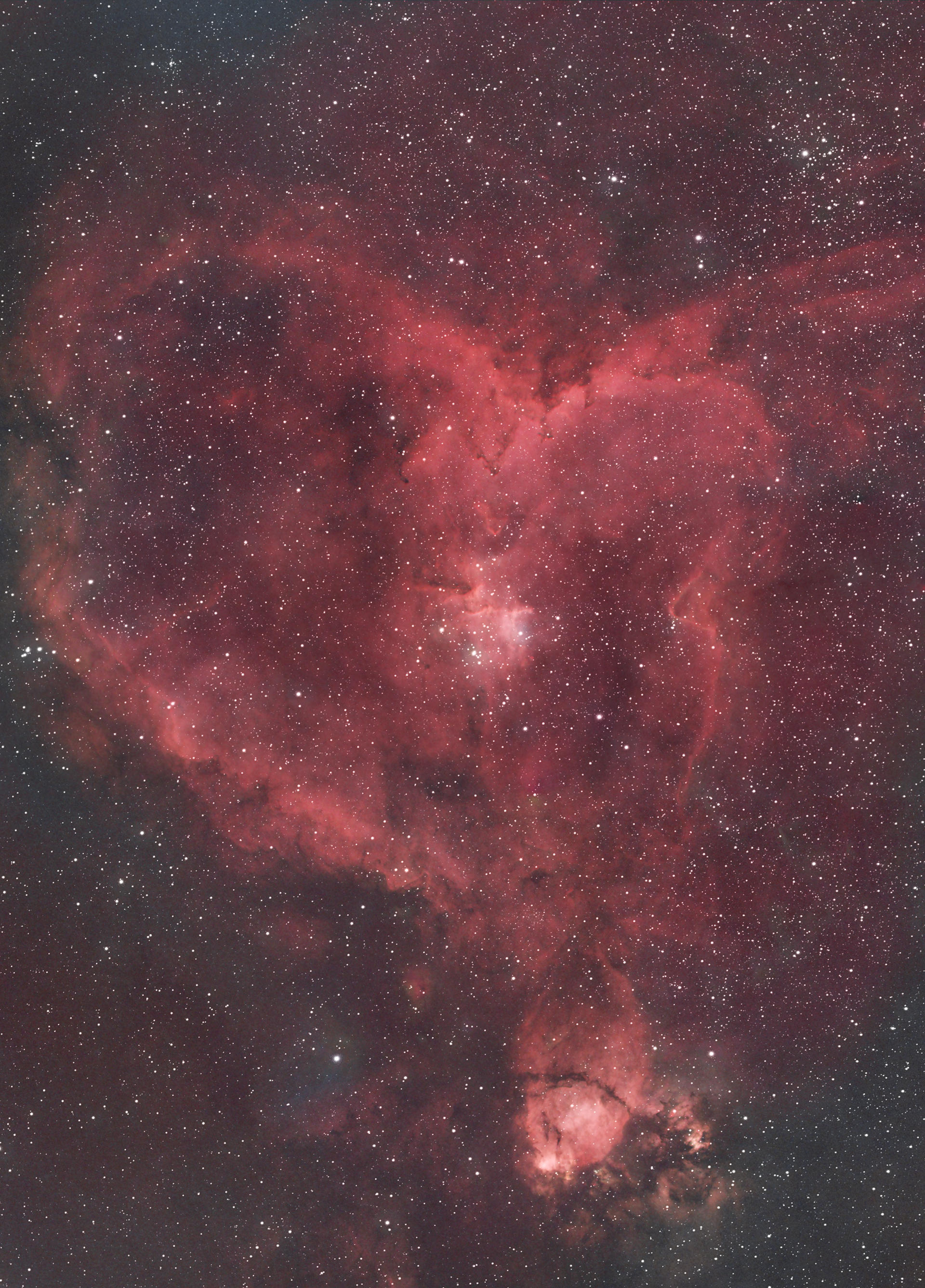 Heart Nebula