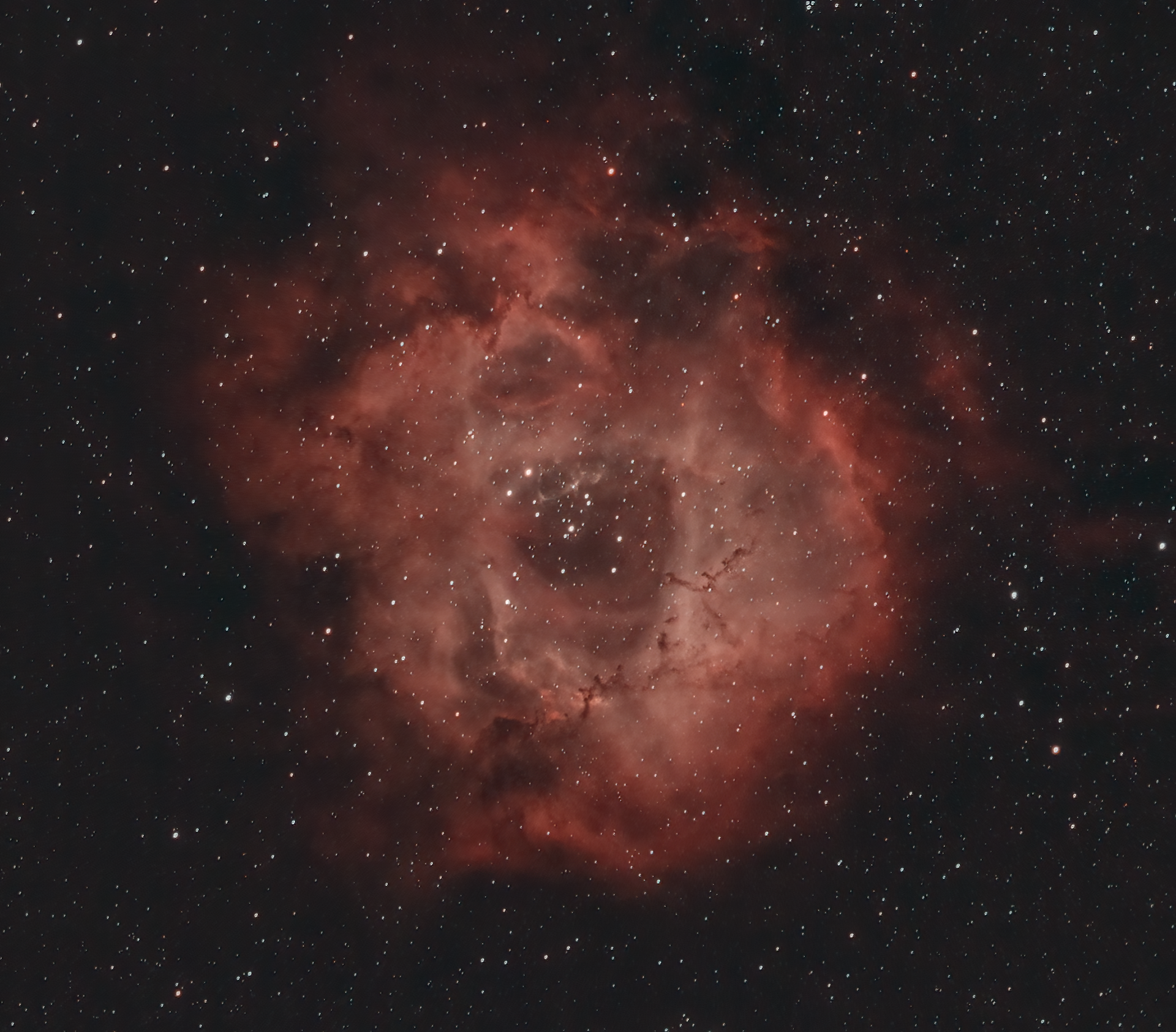 Rosette Nebula