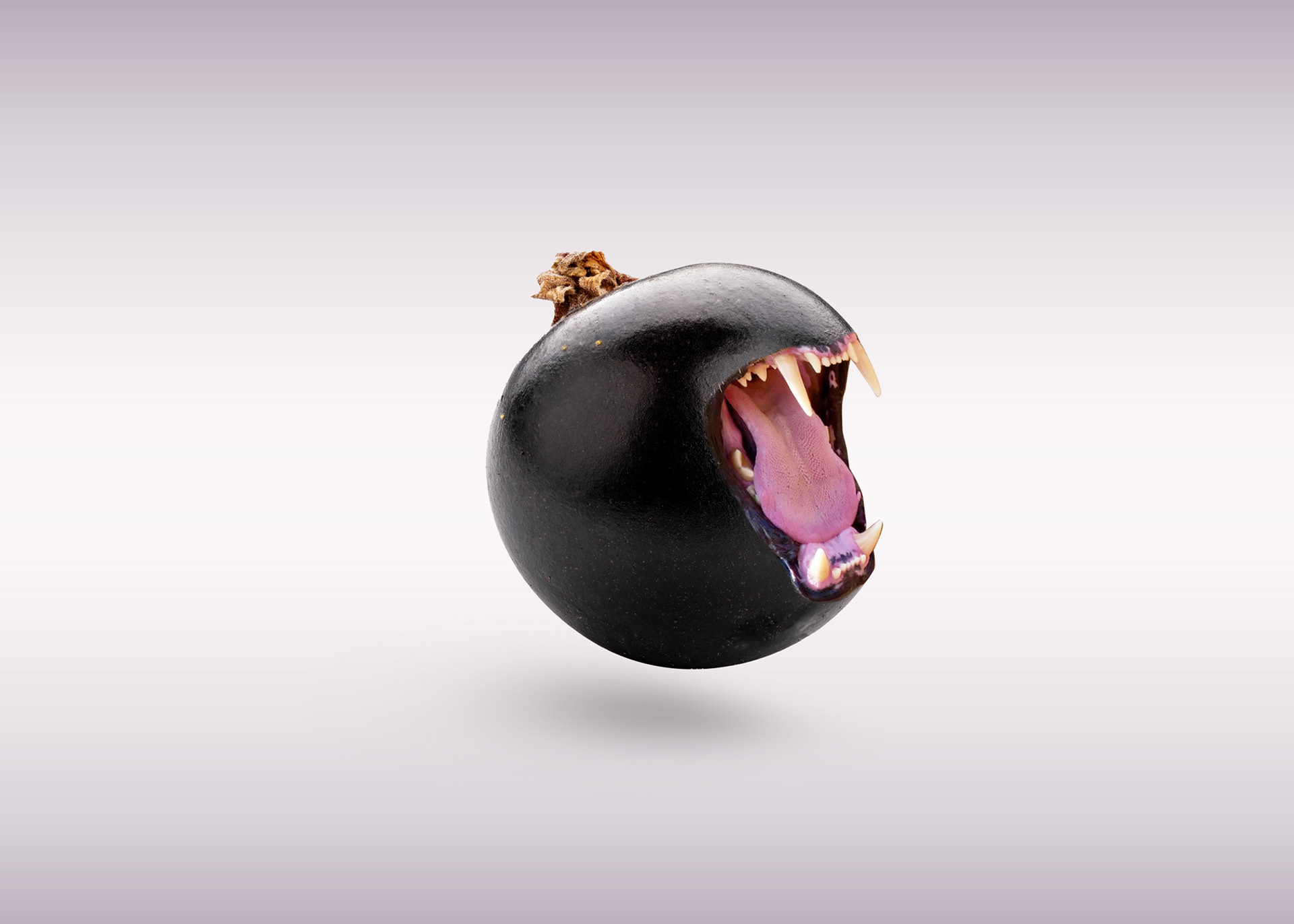 Tu sais c'qu'il te dit l'cassis ?