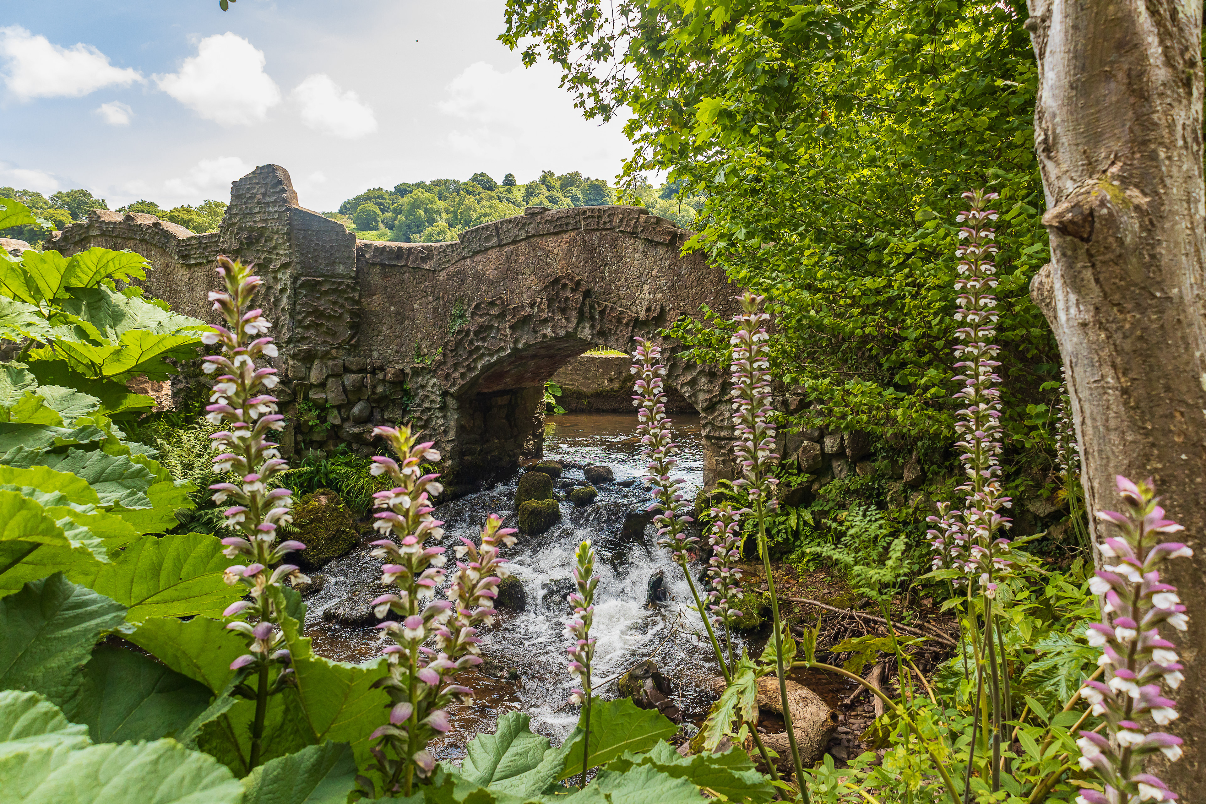 Dunster Castle