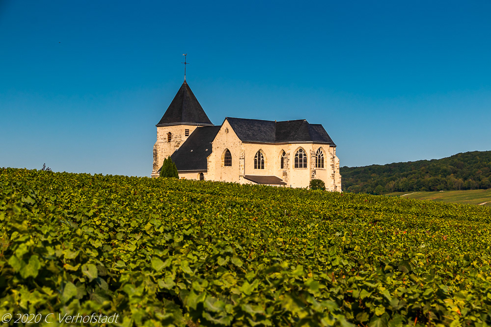 La Côte des Blancs