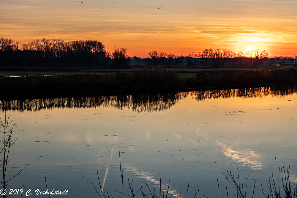 Wichelen - Polder Bergenmeersen (HDR)
