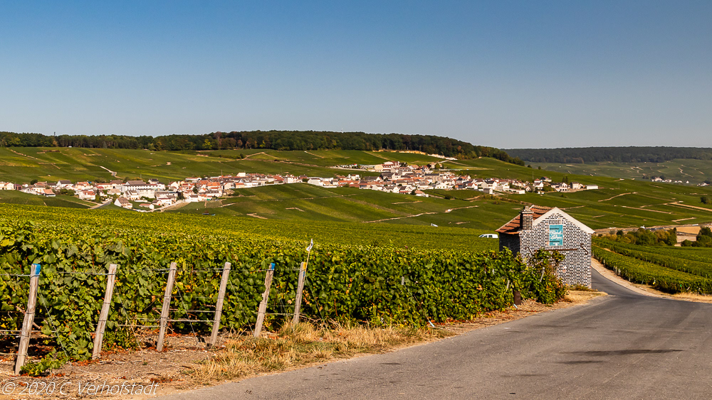 La Côte des Blancs