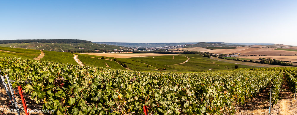 La Côte des Blancs