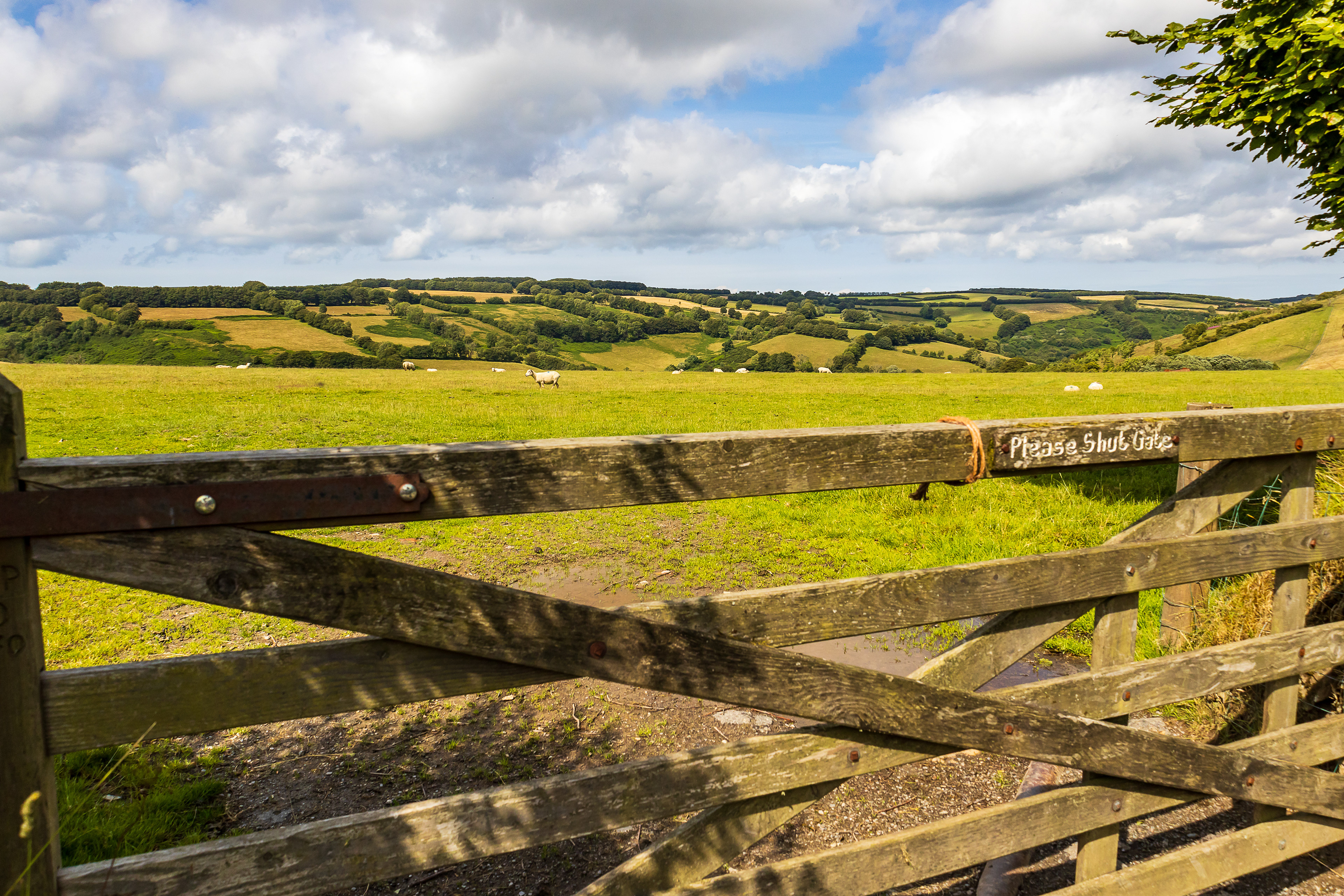Exmoore Park- North Devon